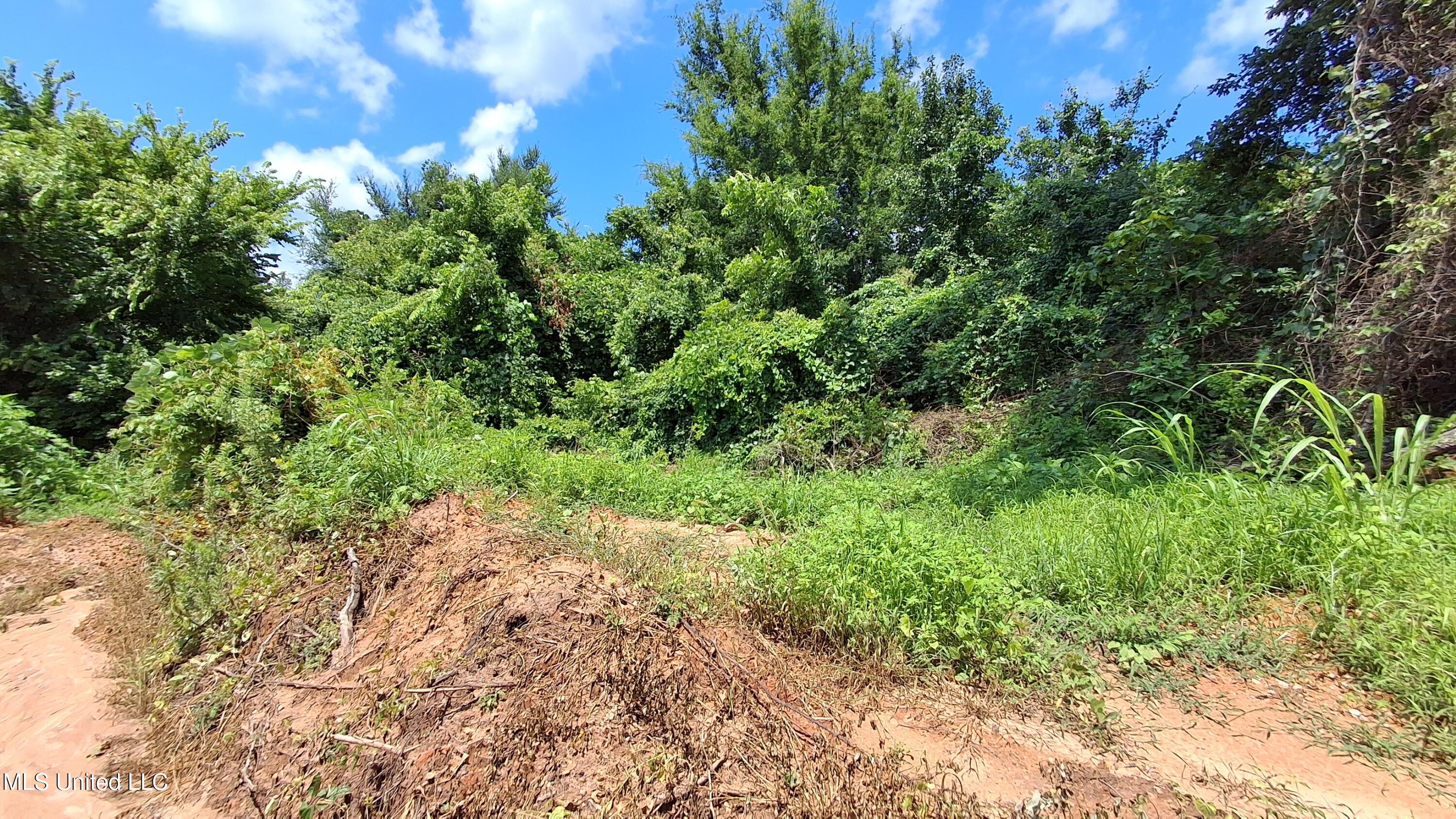 Gray Academy Road Property Photo 4