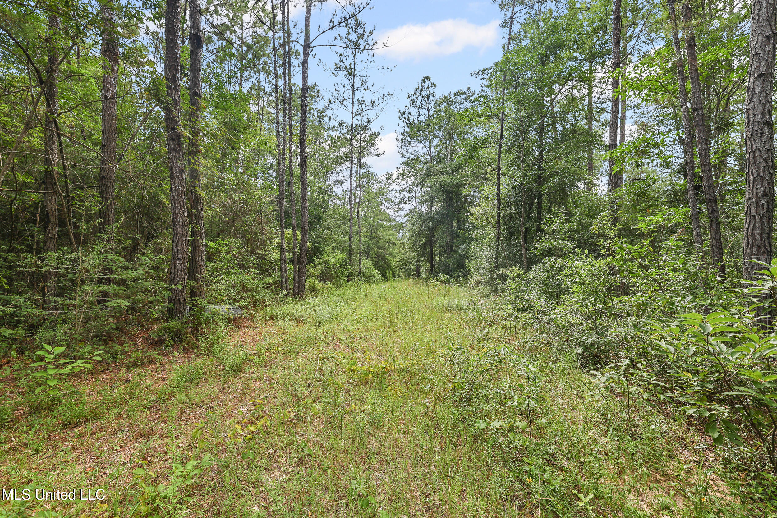 0 Yankee Town Road Property Photo 1