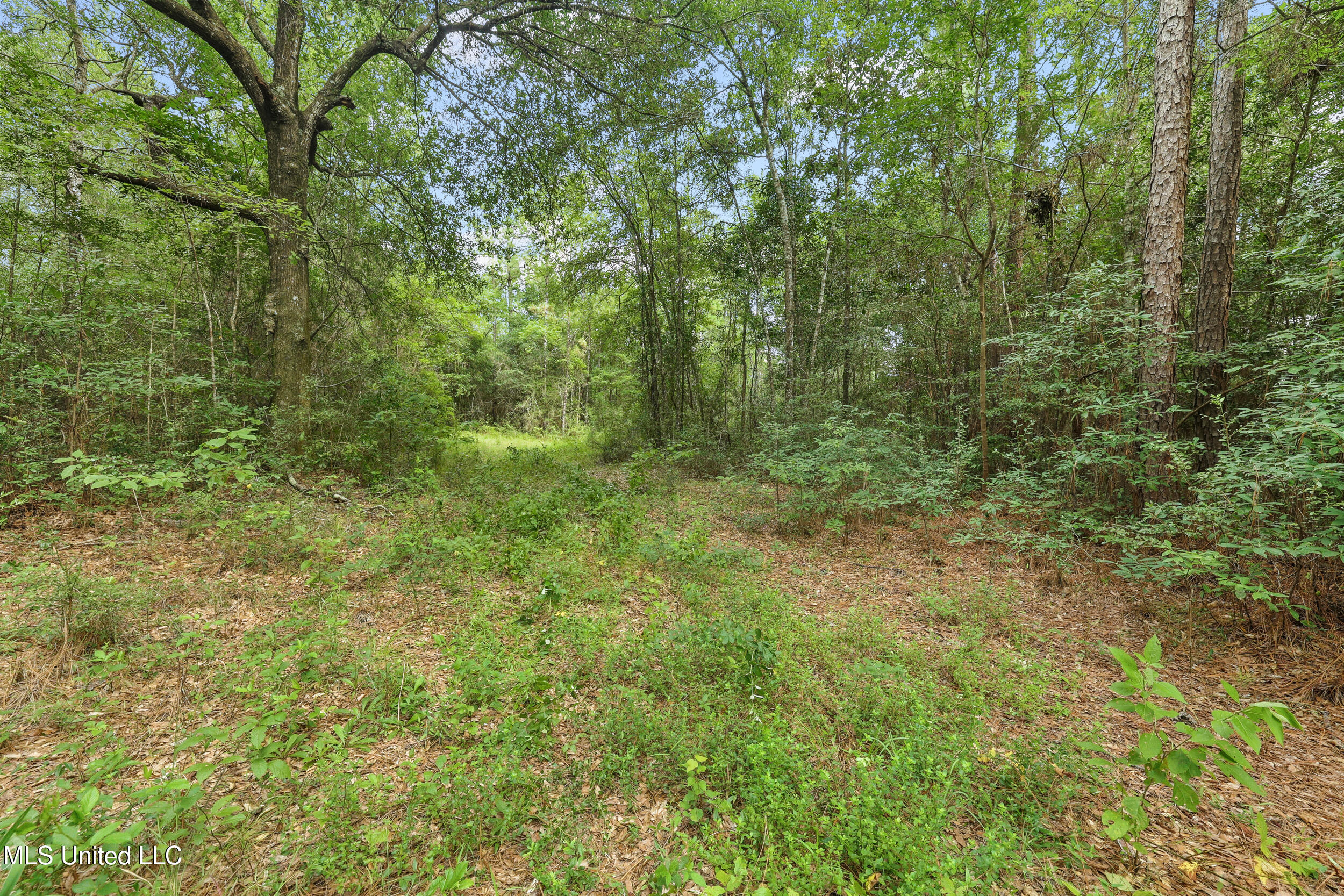 0 Yankee Town Road Property Photo 2