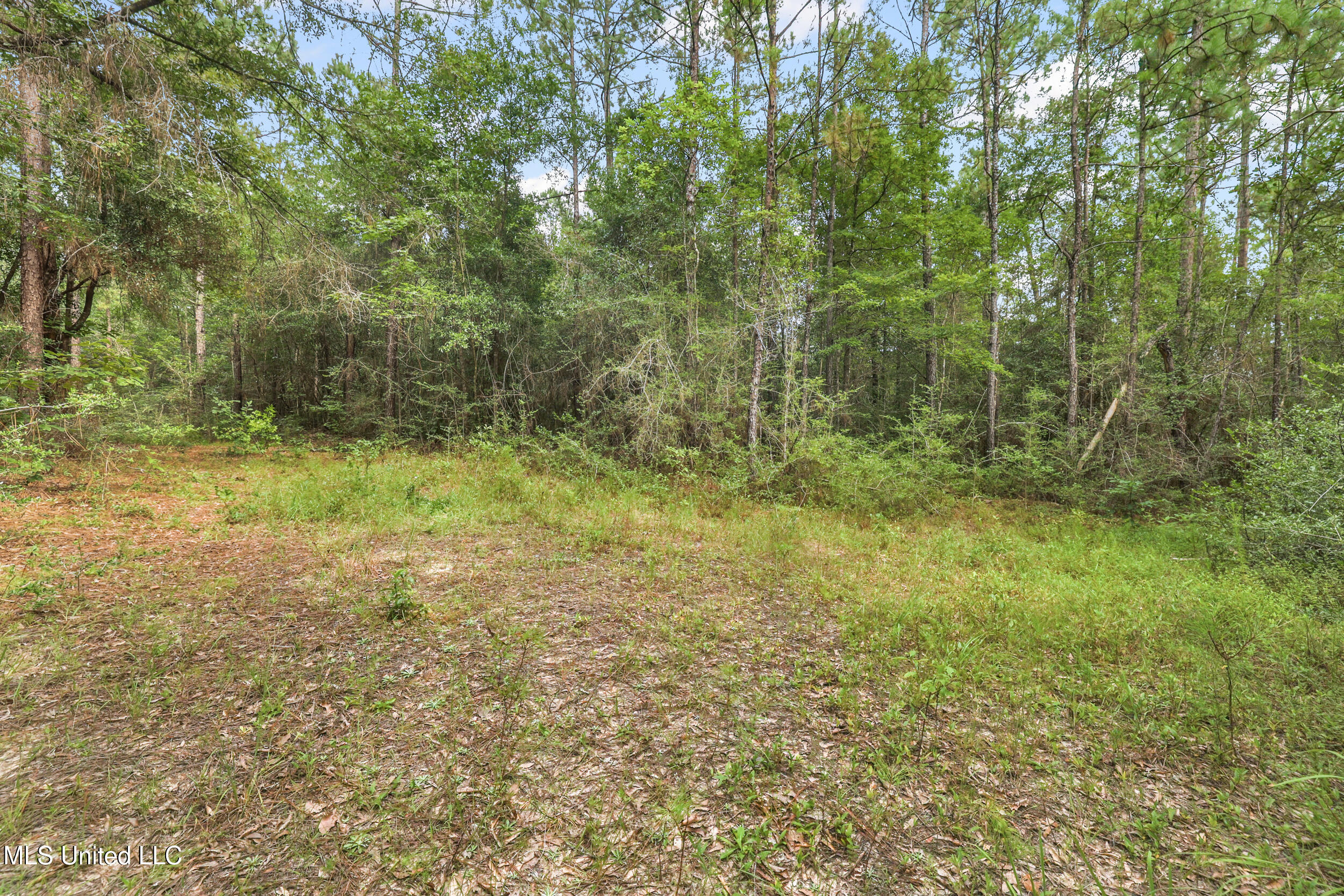 0 Yankee Town Road Property Photo 3