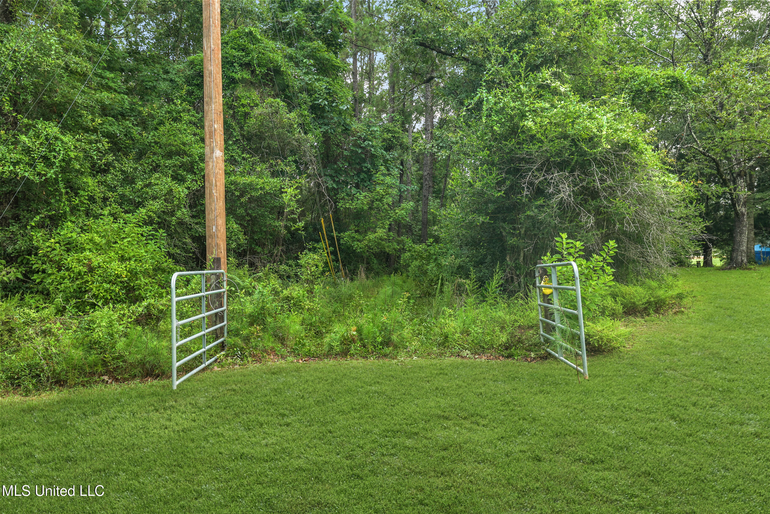 0 Yankee Town Road Property Photo 8