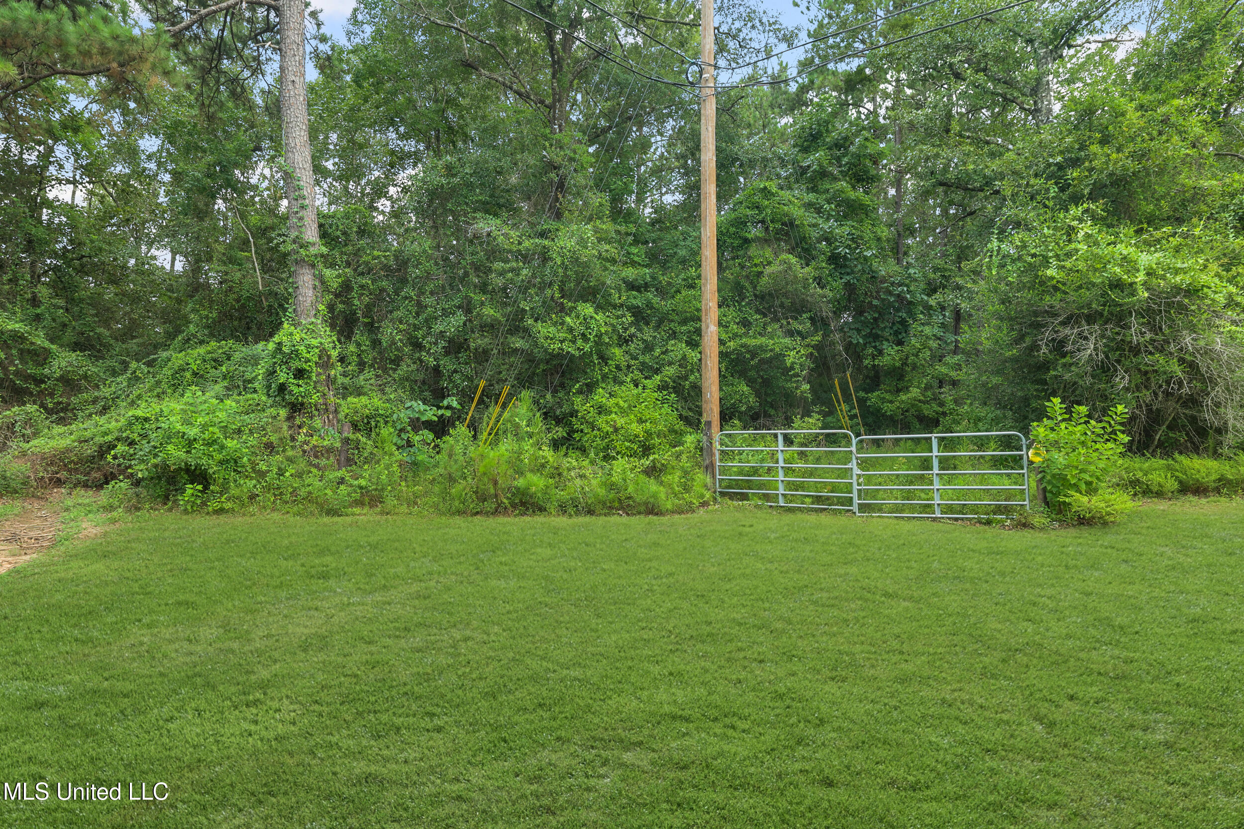 0 Yankee Town Road Property Photo 9