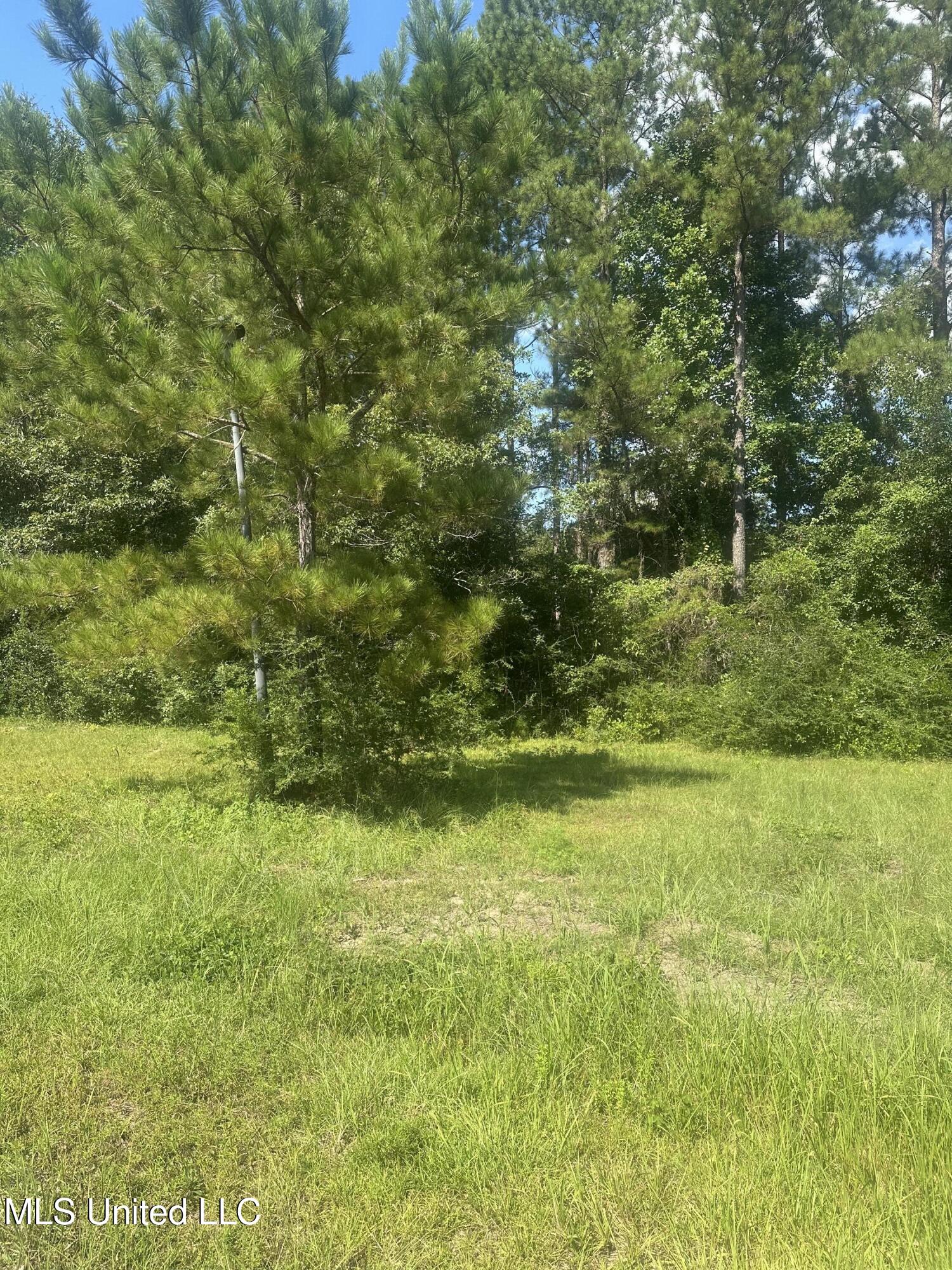 Jeremy Lane Property Photo 3