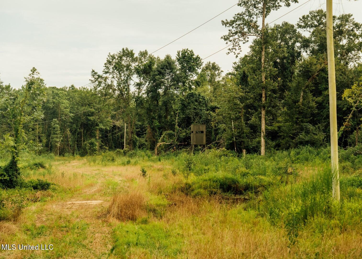 1267 Way Road Property Photo 26