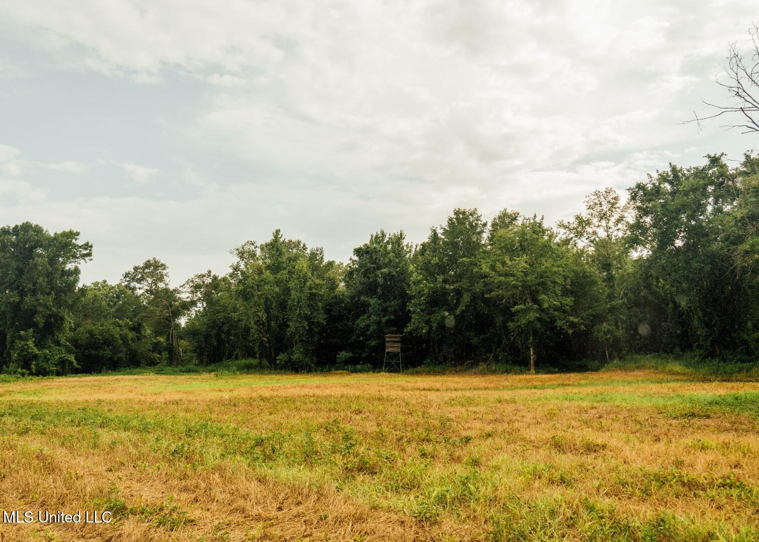 1267 Way Road Property Photo 28