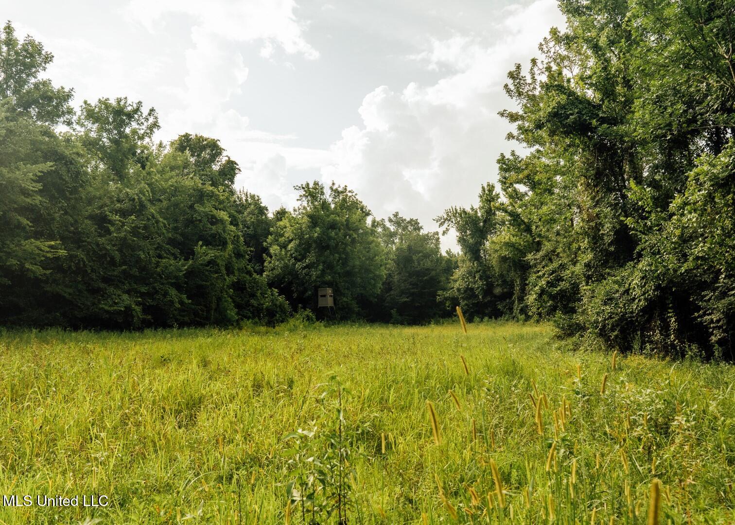 1267 Way Road Property Photo 33