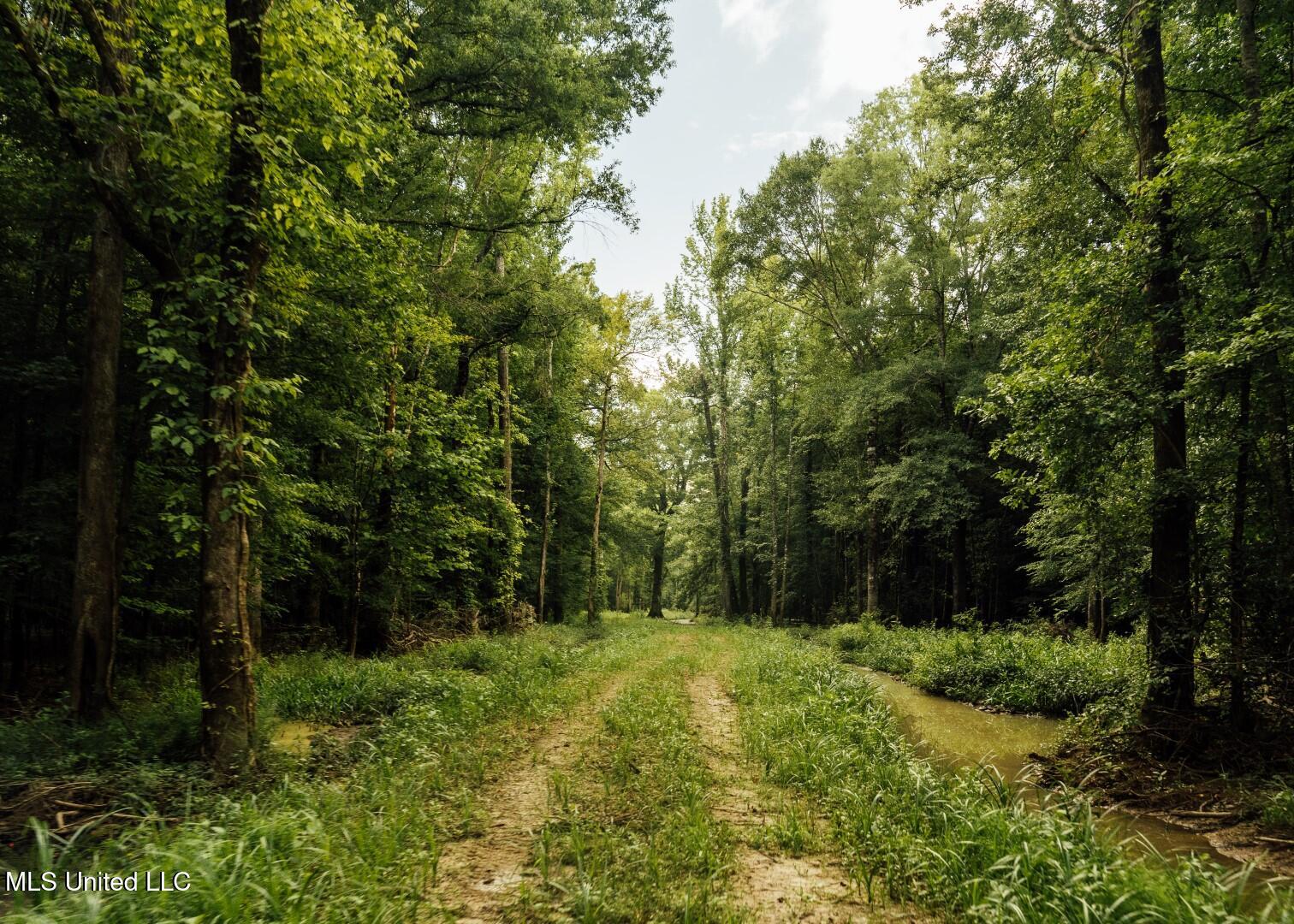 1267 Way Road Property Photo 35