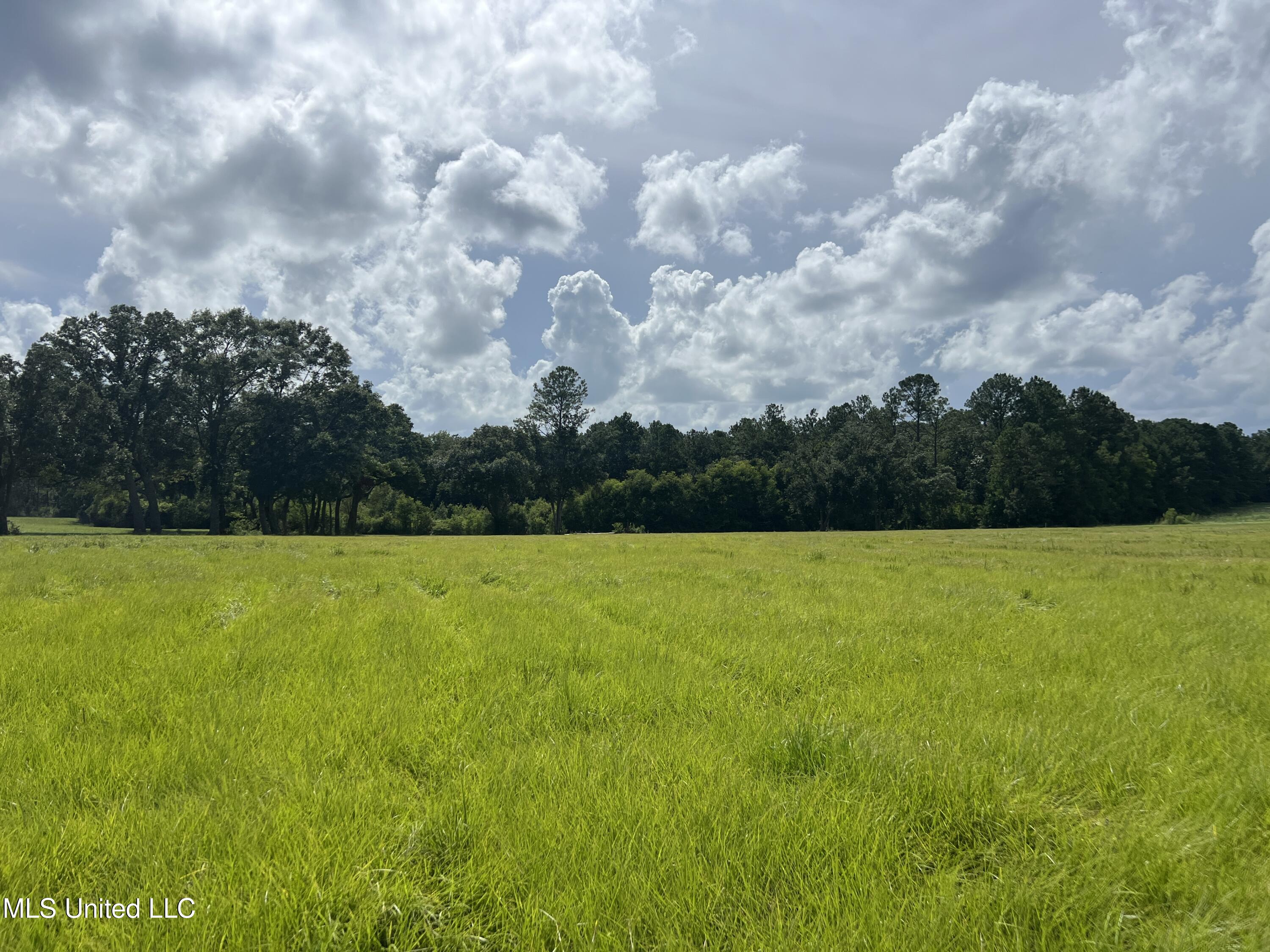 Schanbacher Road Property Photo 2