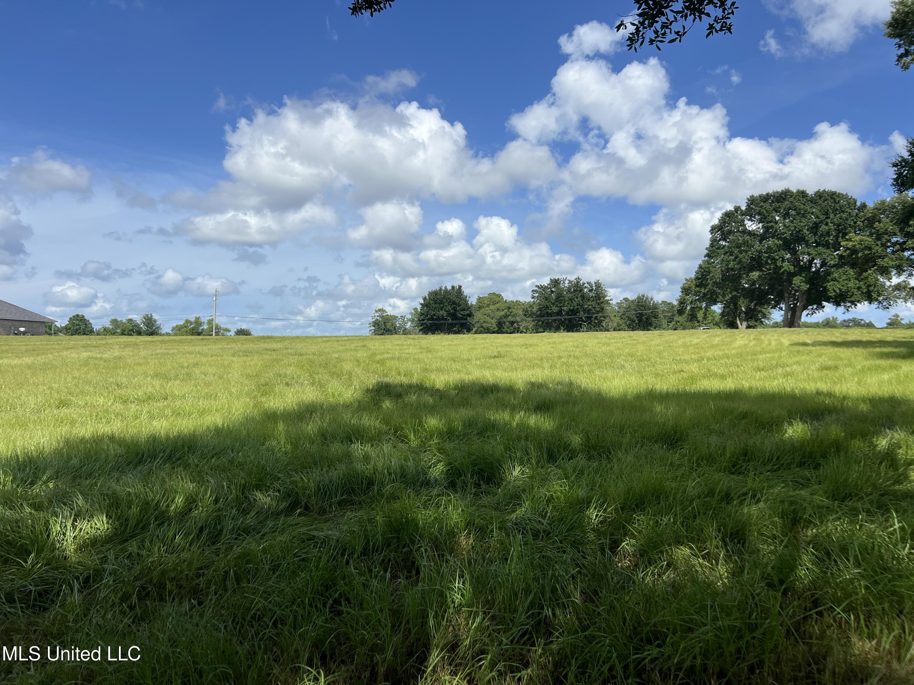 Schanbacher Road Property Photo 6