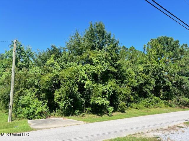 318 Hillcrest Street Property Photo 2