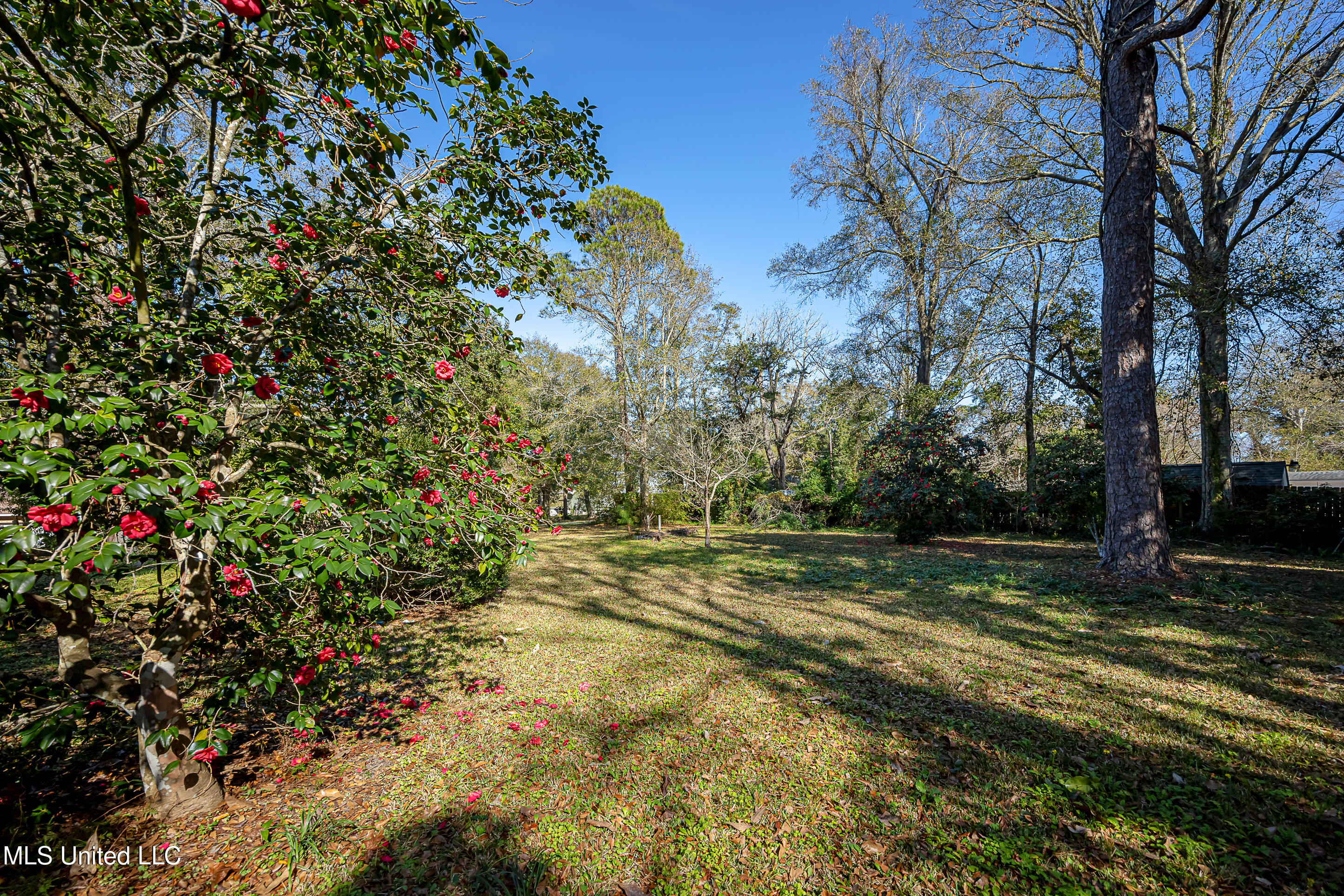 4019 Bellview Avenue Property Photo 18