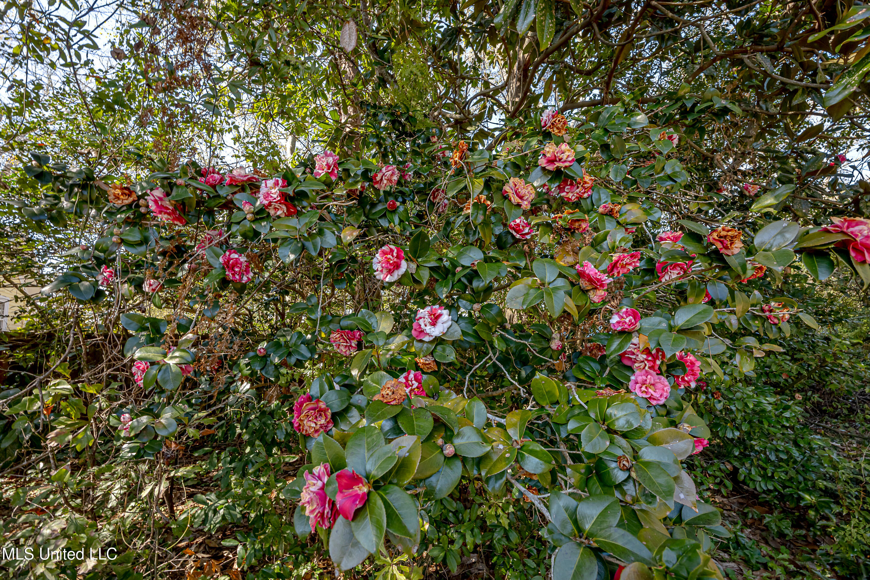 4019 Bellview Avenue Property Photo 20