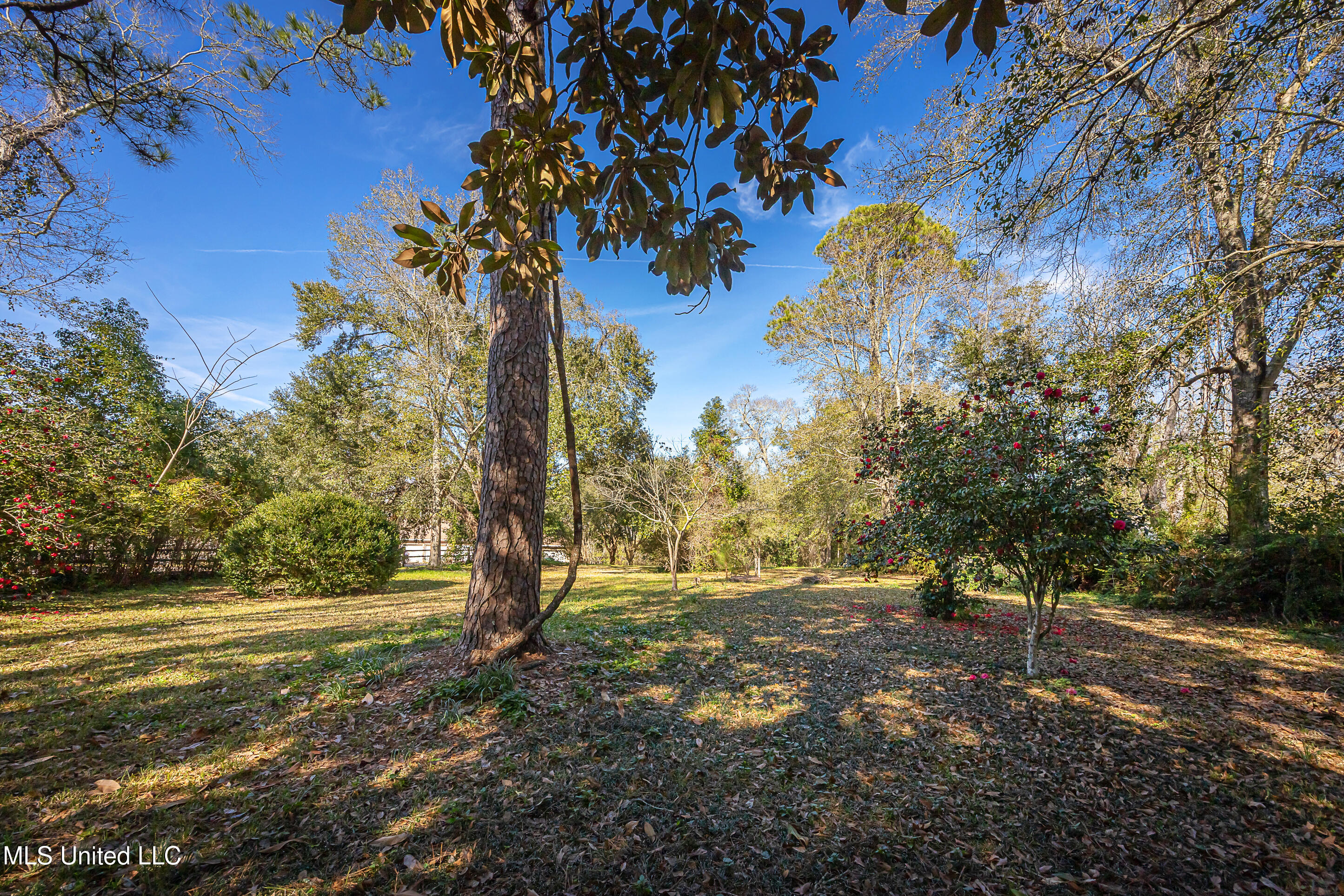 4019 Bellview Avenue Property Photo 81