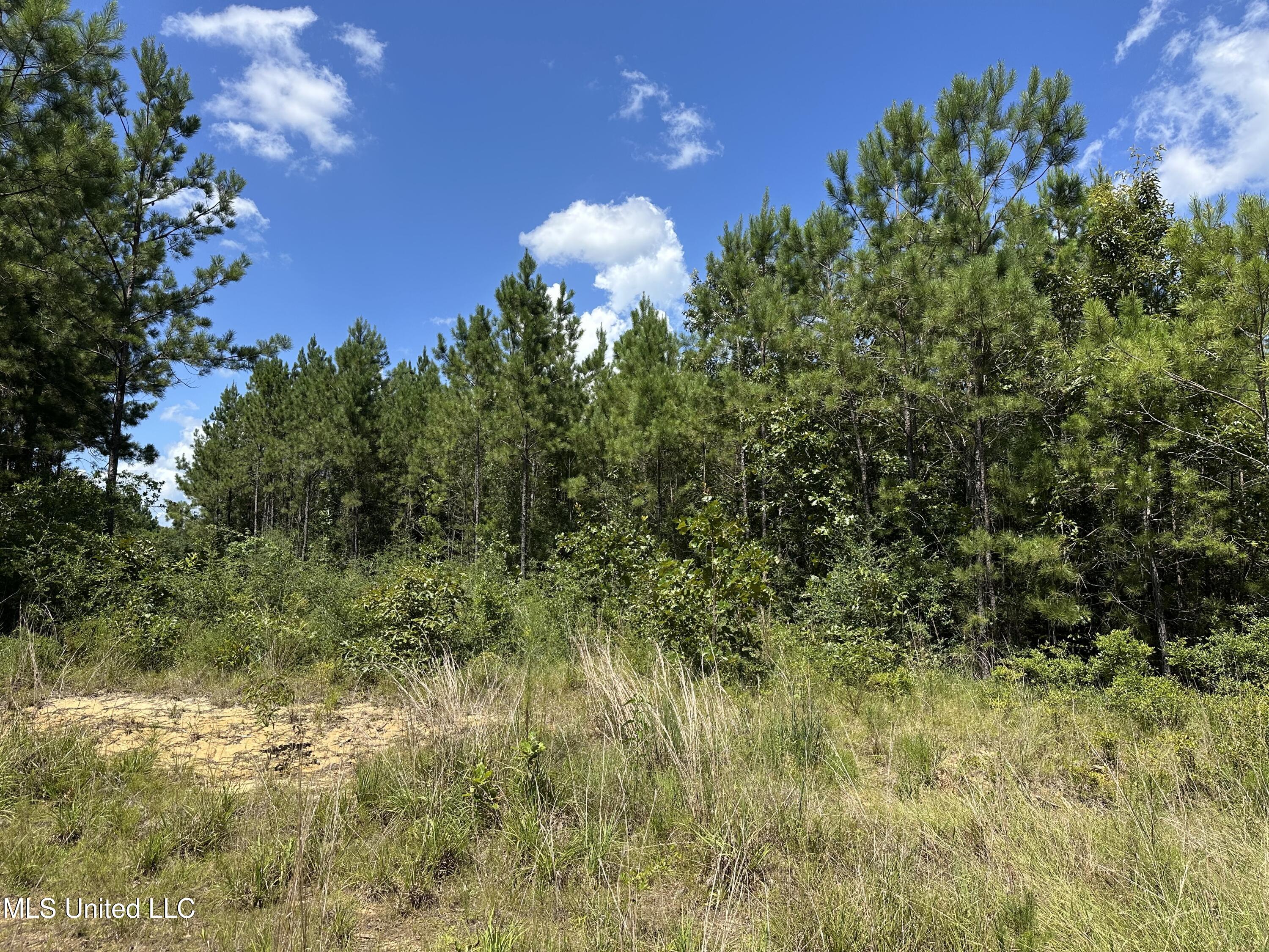 Ms-43 Property Photo 1