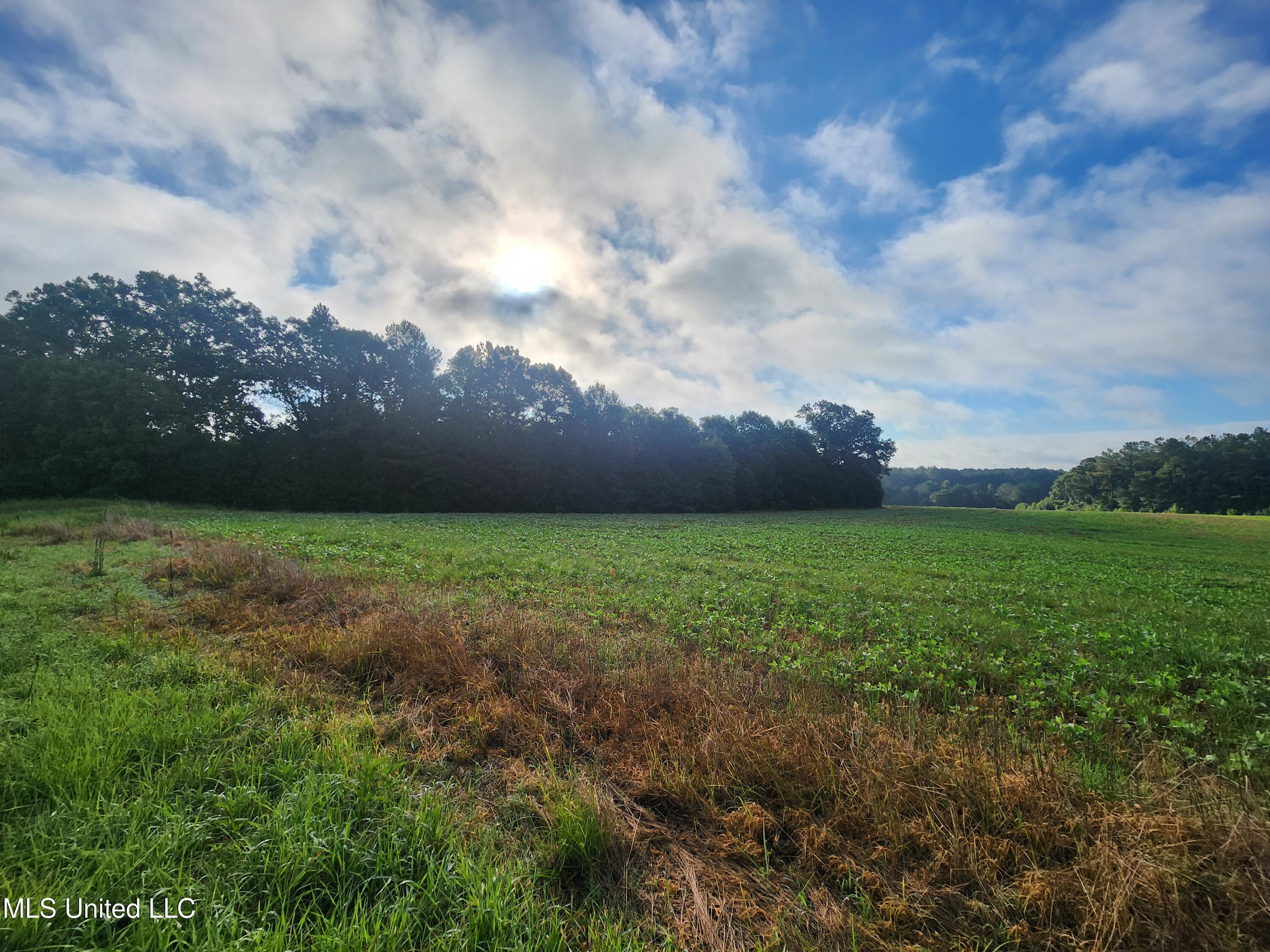 Spillers Road Property Photo 19