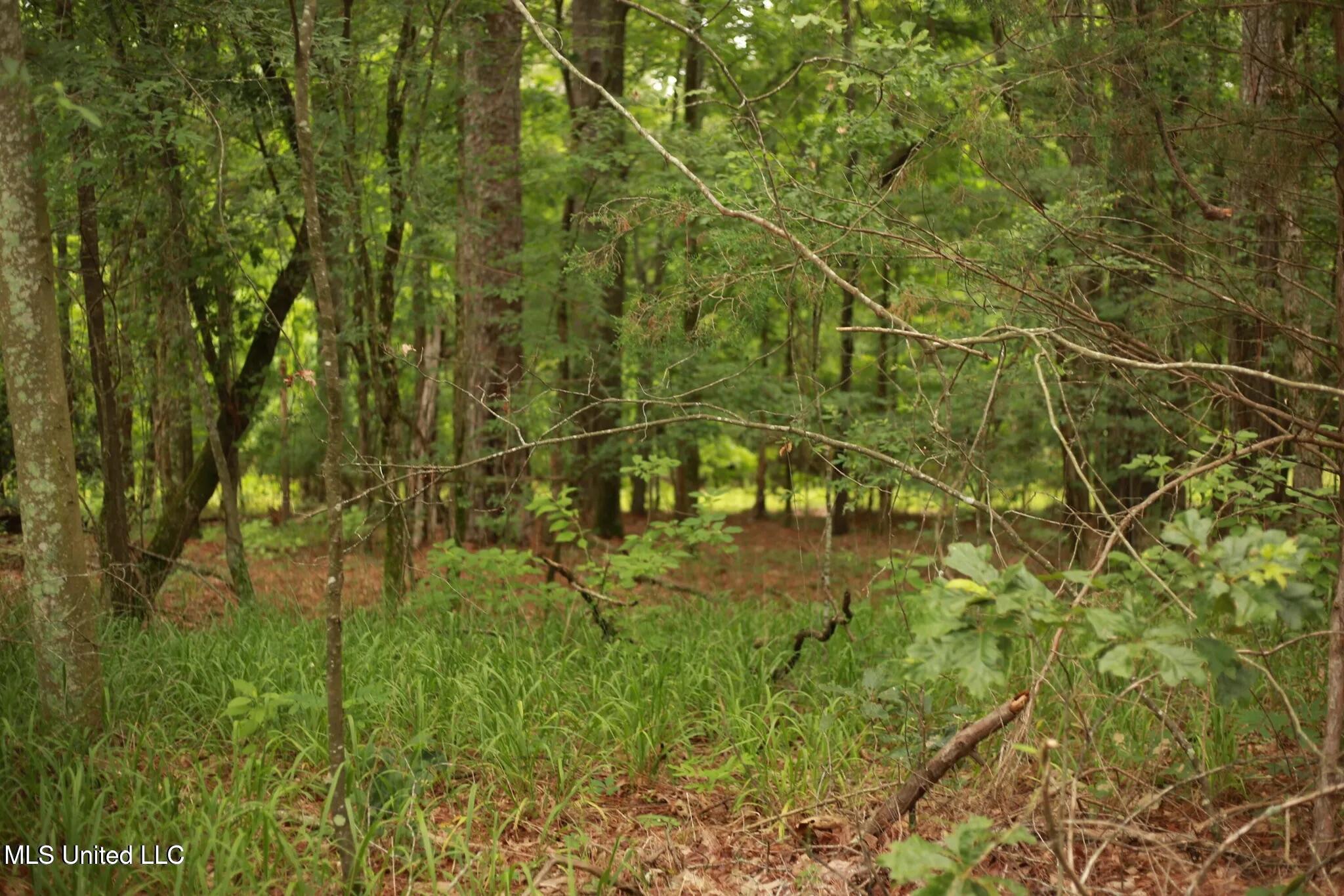 Walker Road Property Photo 9