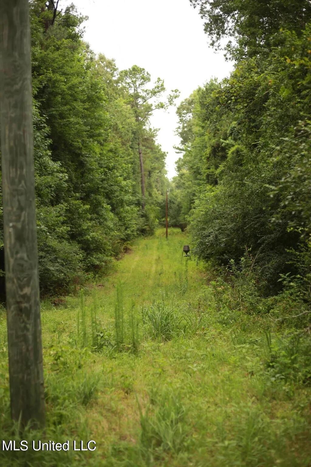Walker Road Property Photo 10