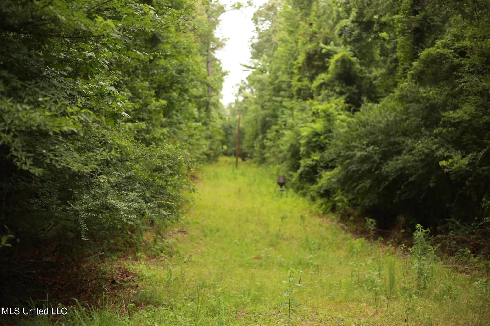 Walker Road Property Photo 12