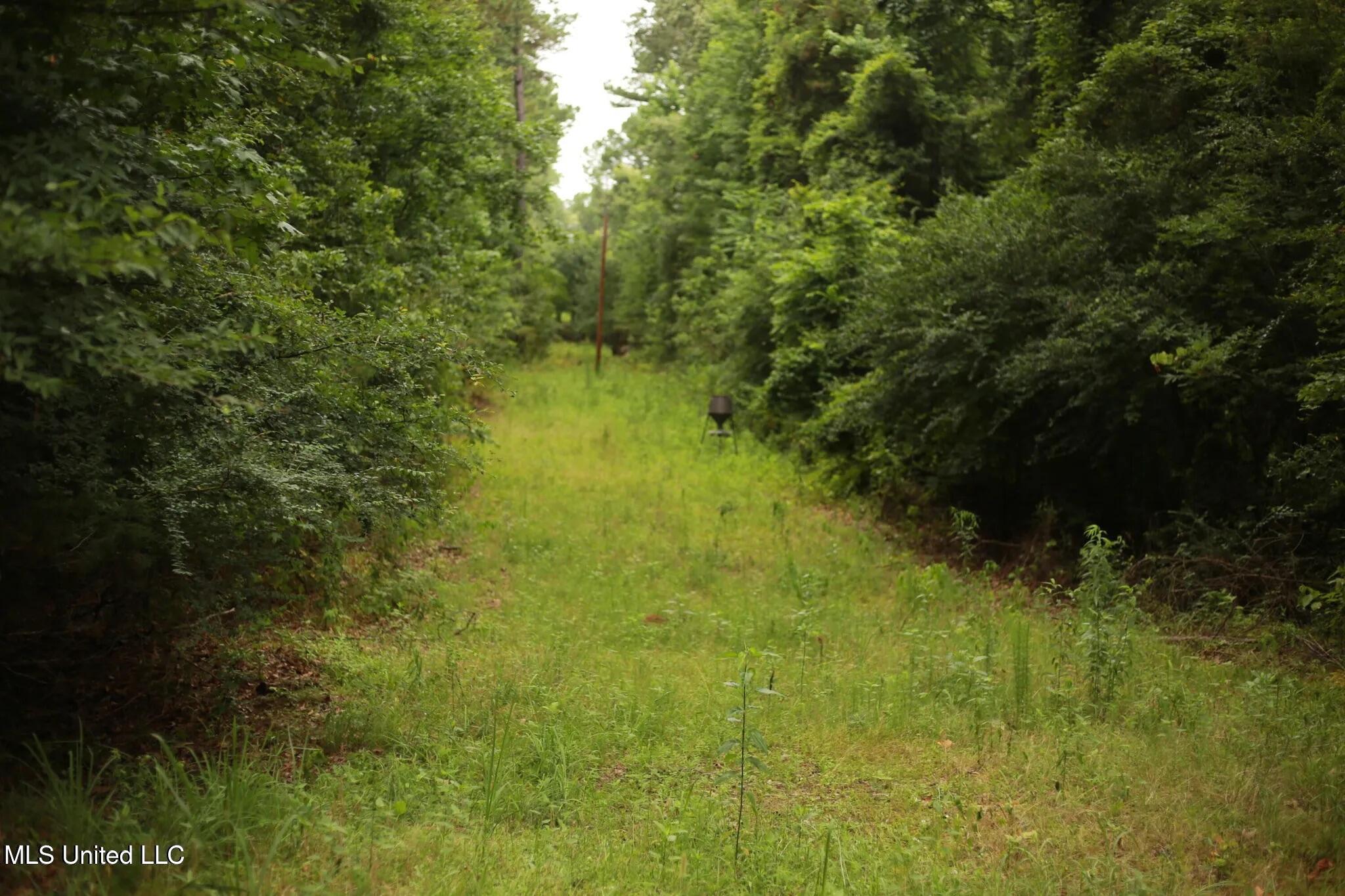 Walker Road Property Photo 13