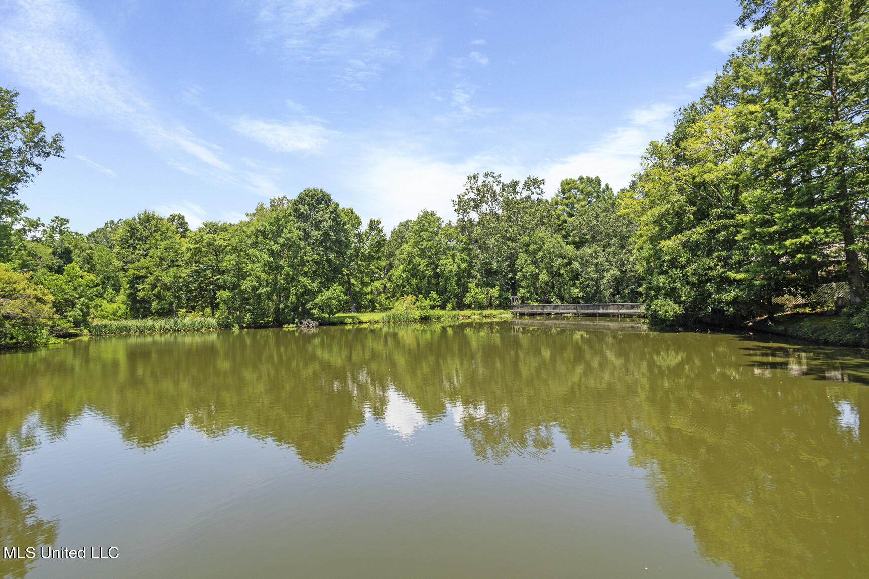 127 Winged Foot Circle Property Photo 39