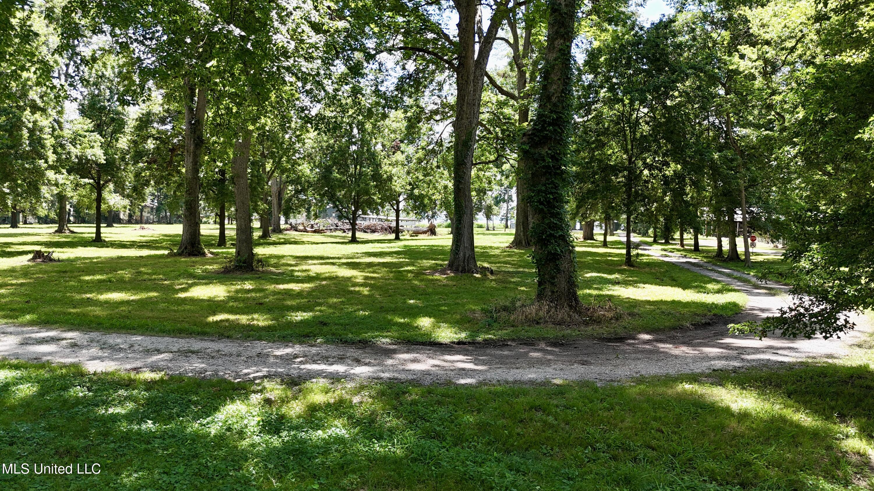 6 Acres Mol Eagle Lake Ms Property Photo 1