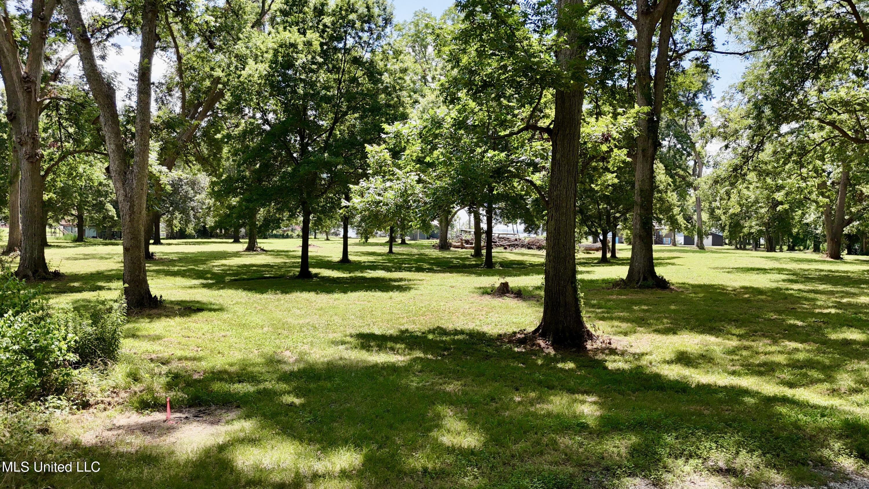 6 Acres Mol Eagle Lake Ms Property Photo 3