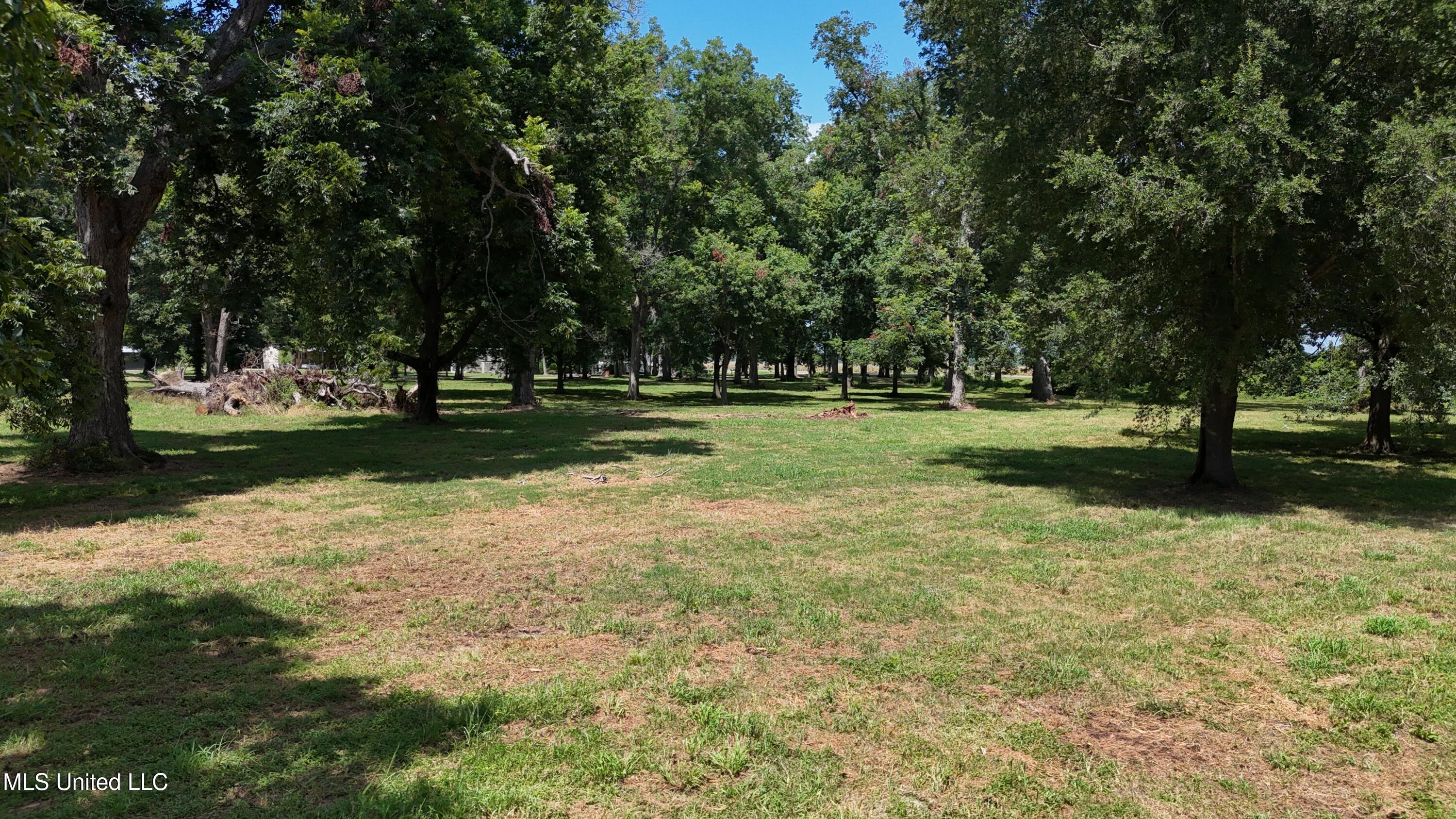 6 Acres Mol Eagle Lake Ms Property Photo 4