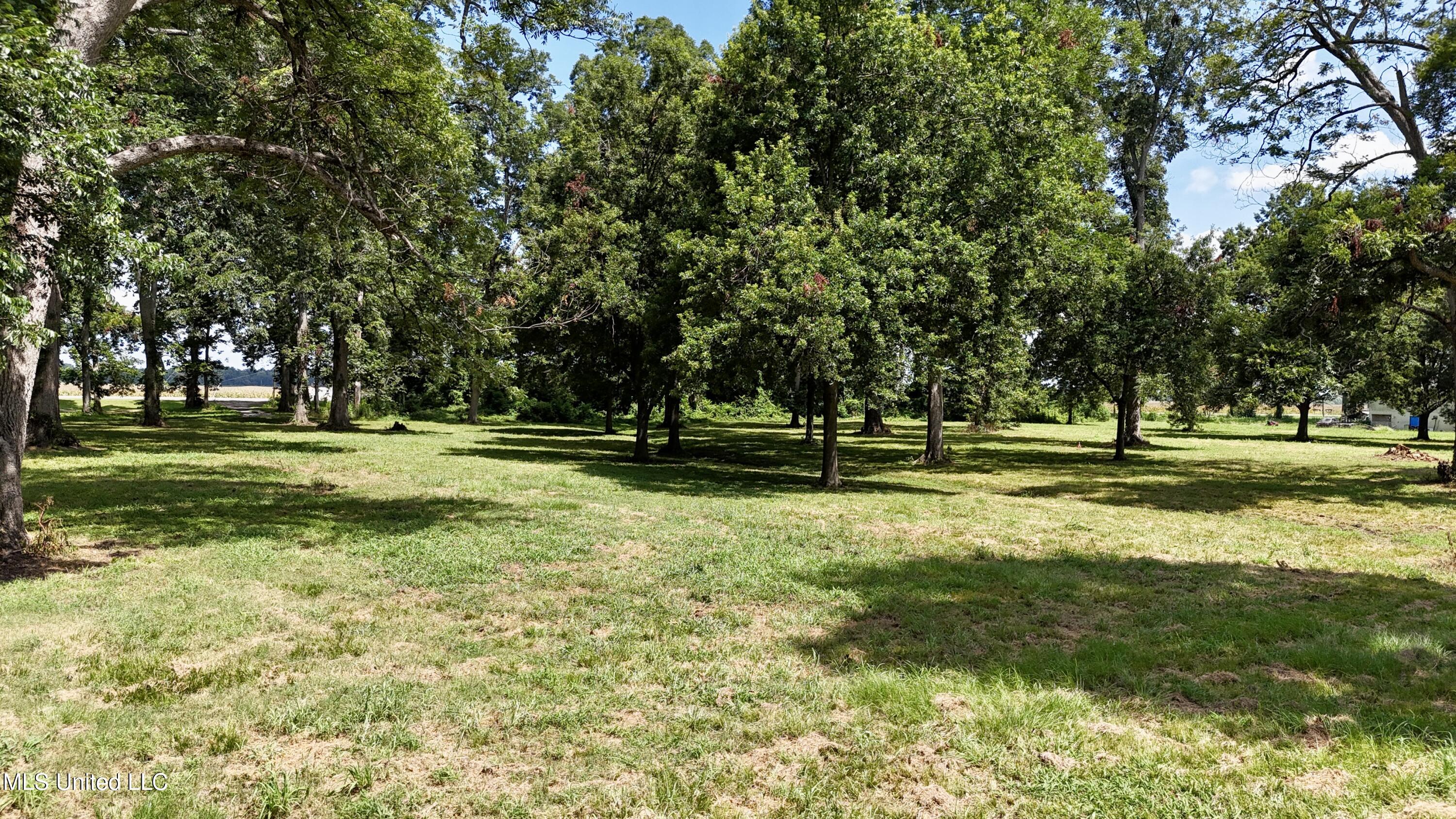 6 Acres Mol Eagle Lake Ms Property Photo 22