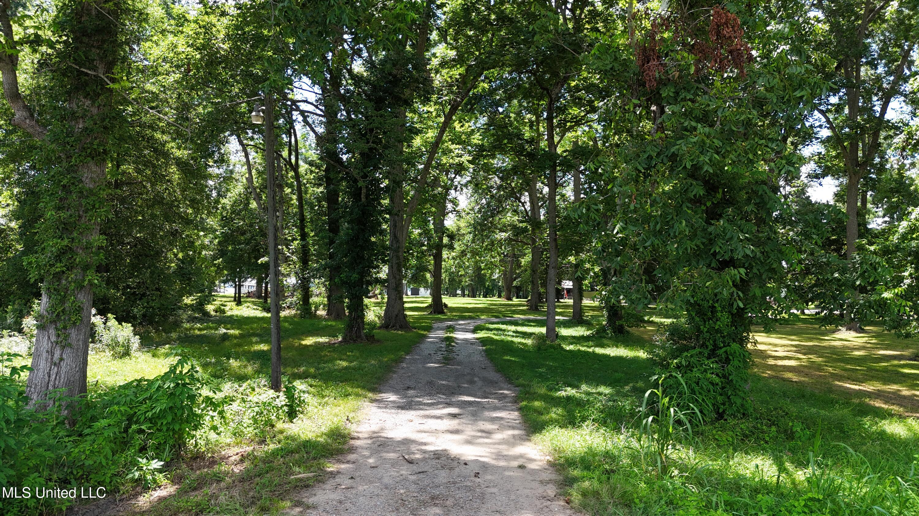 6 Acres Mol Eagle Lake Ms Property Photo 25