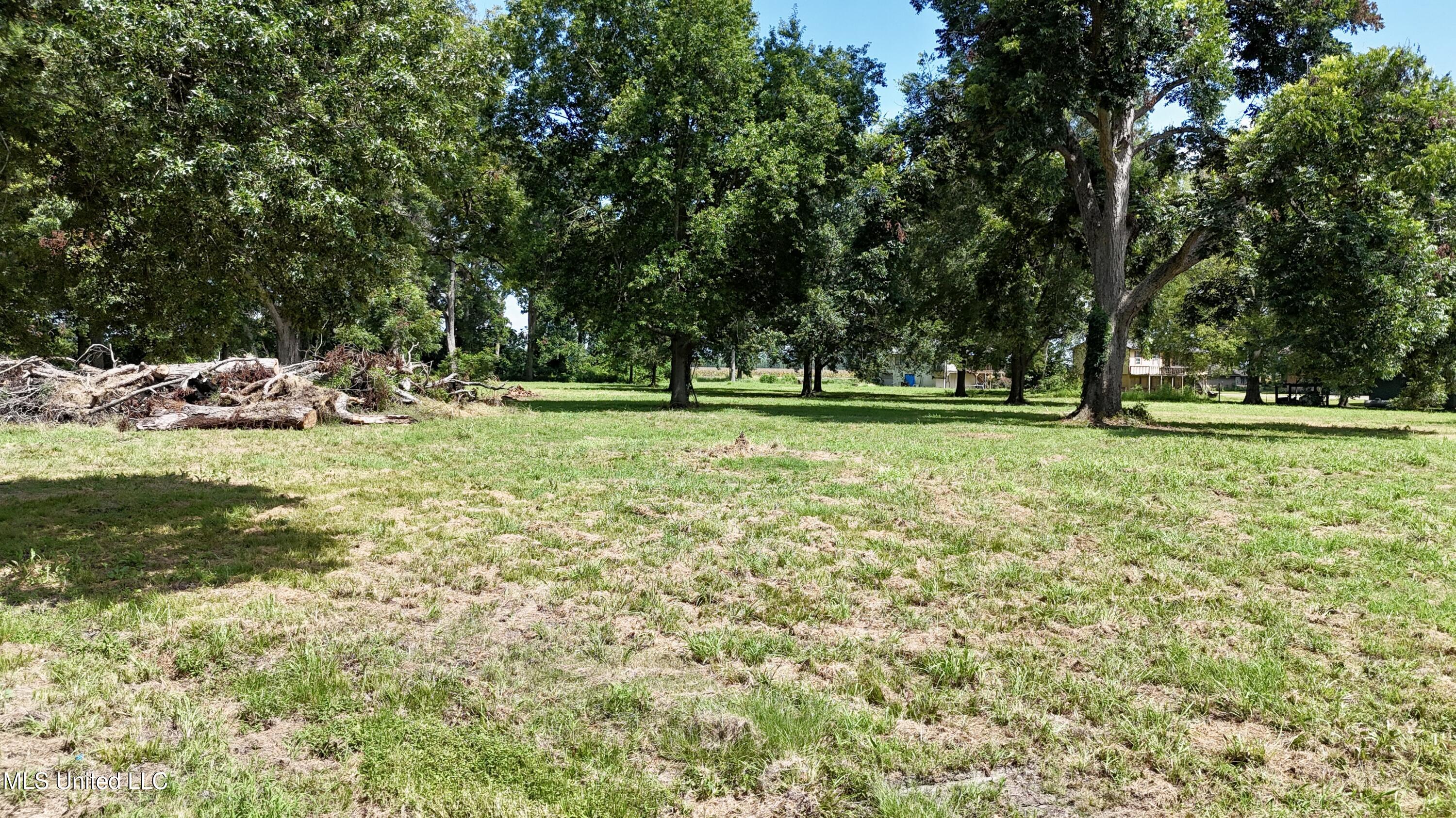 6 Acres Mol Eagle Lake Ms Property Photo 26