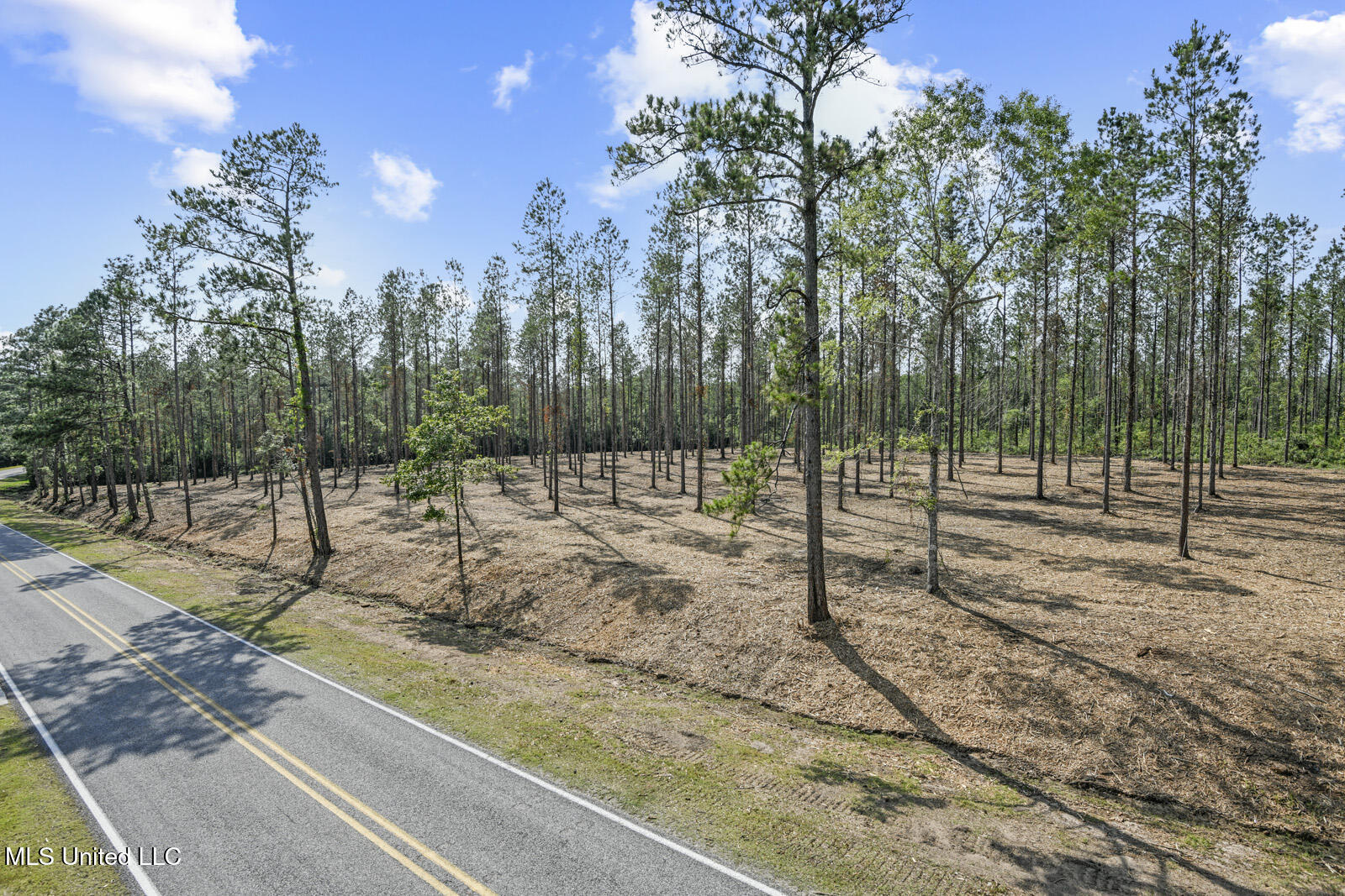 Nhn Ramsey Road Property Photo 2
