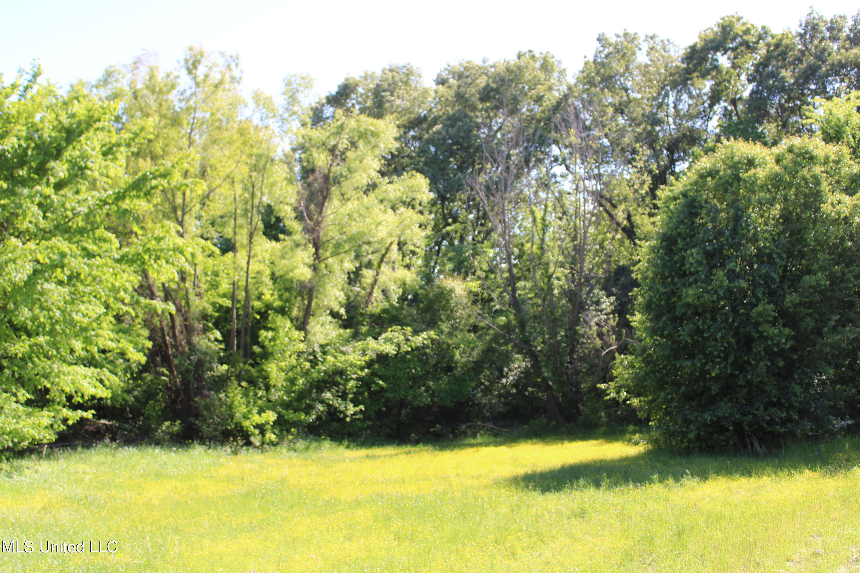 4900 Pepper Chase Drive Property Photo 11