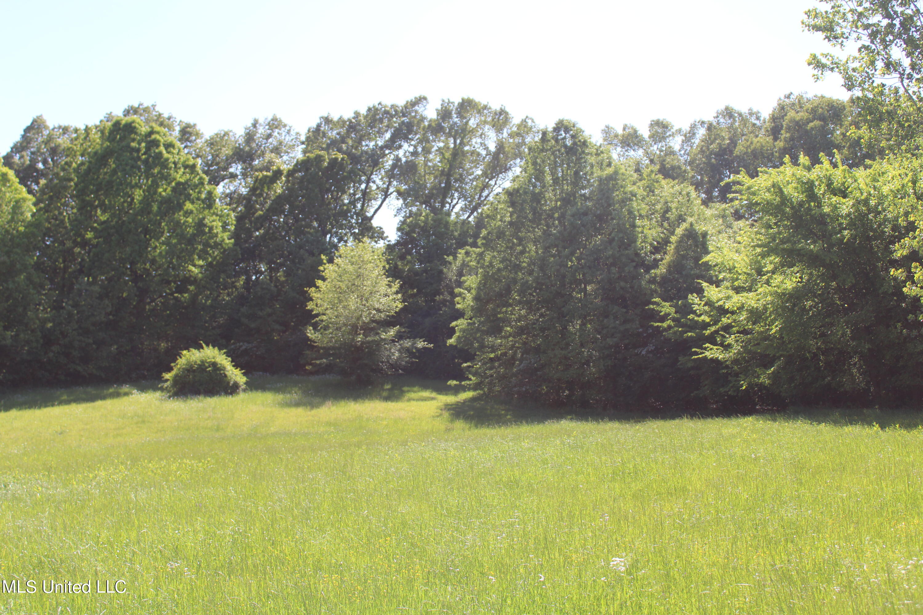 4900 Pepper Chase Drive Property Photo 13