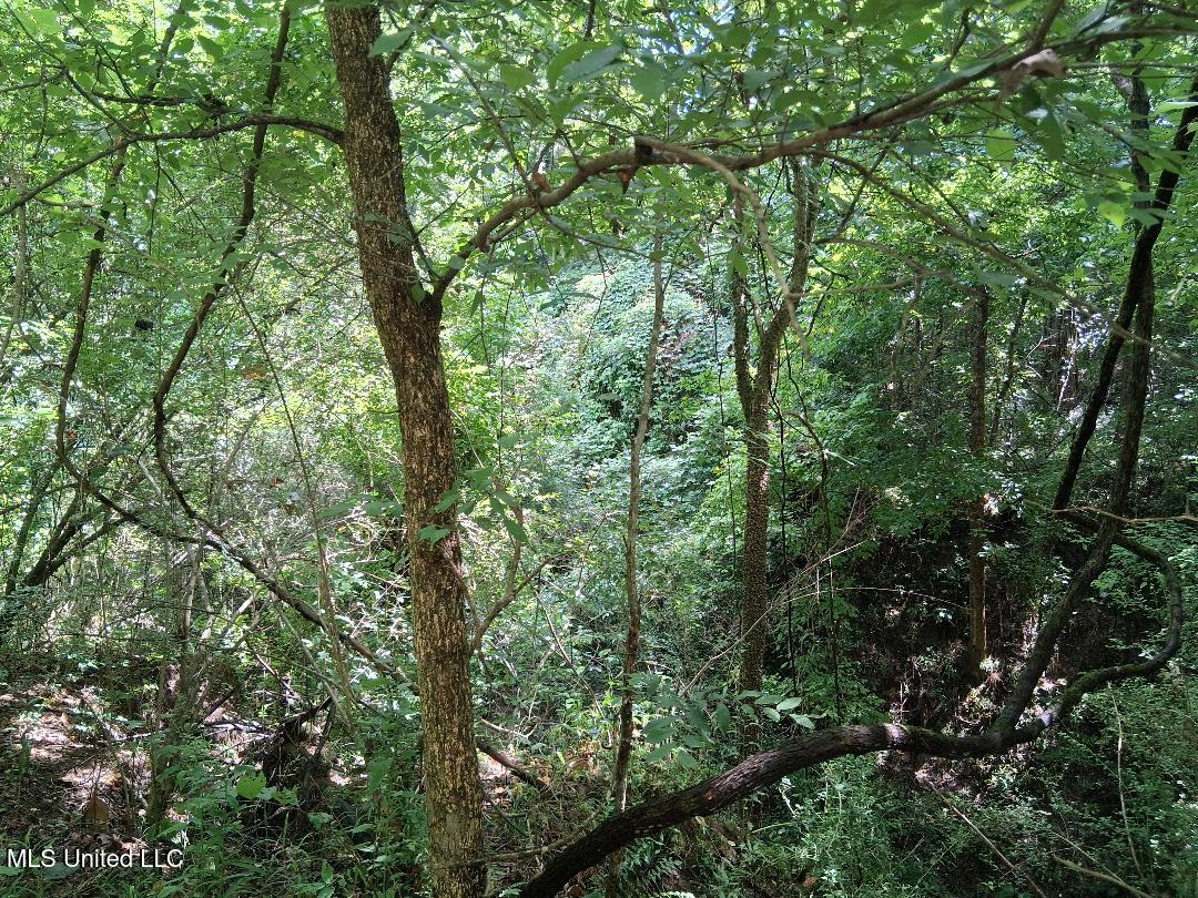 N Azalea Lane Property Photo 1