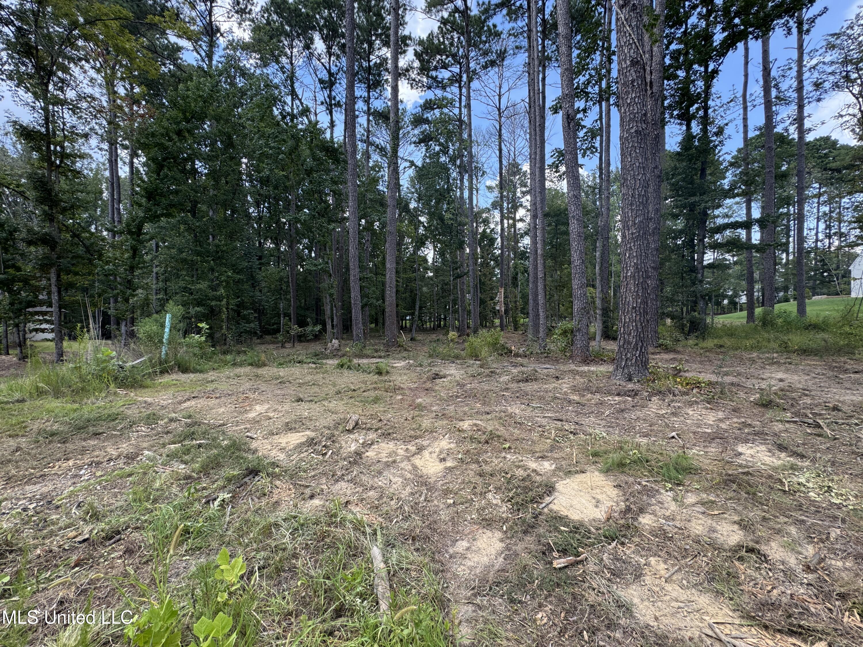 922 Brookhollow Court Property Photo 3