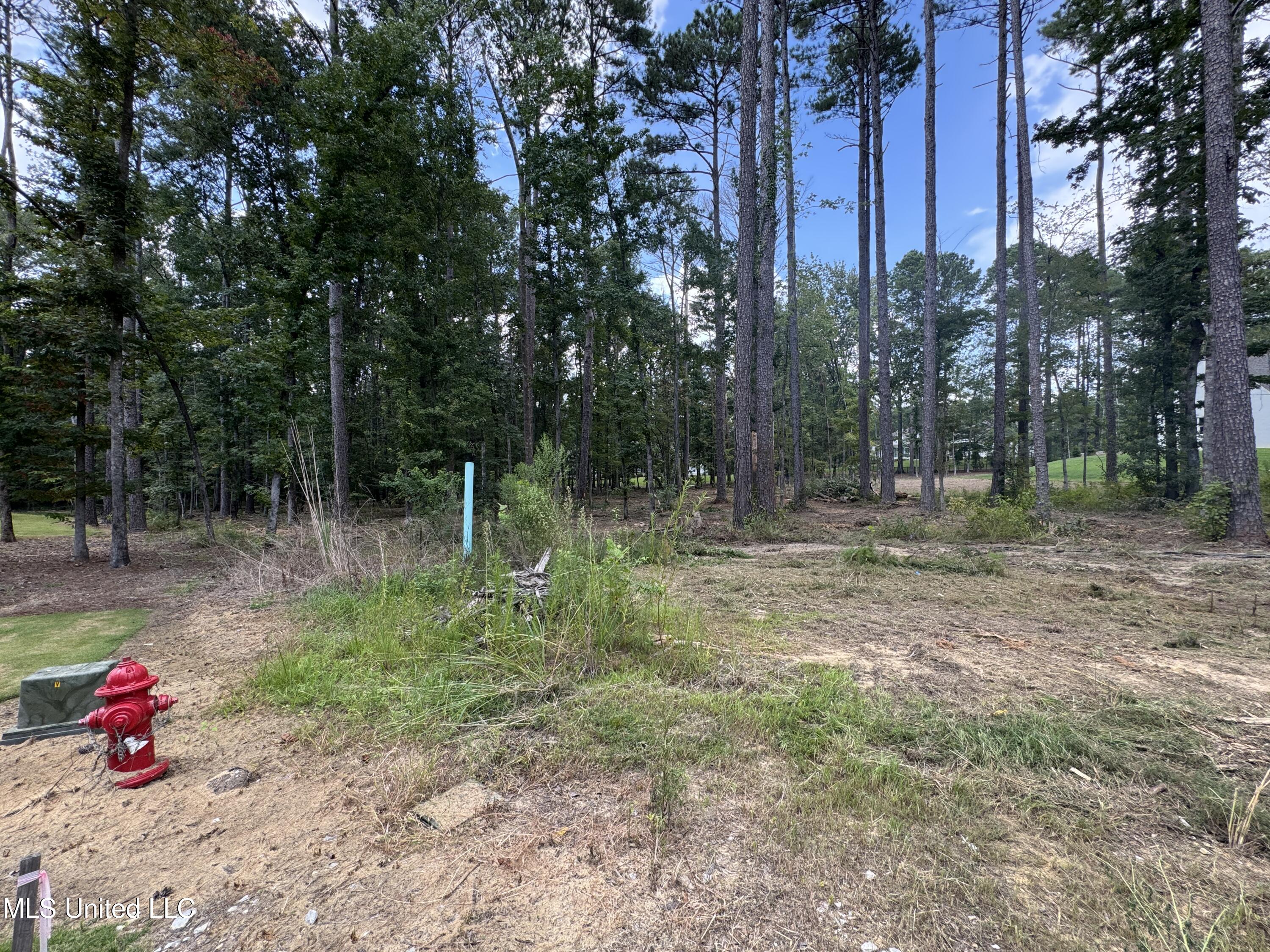 922 Brookhollow Court Property Photo 3