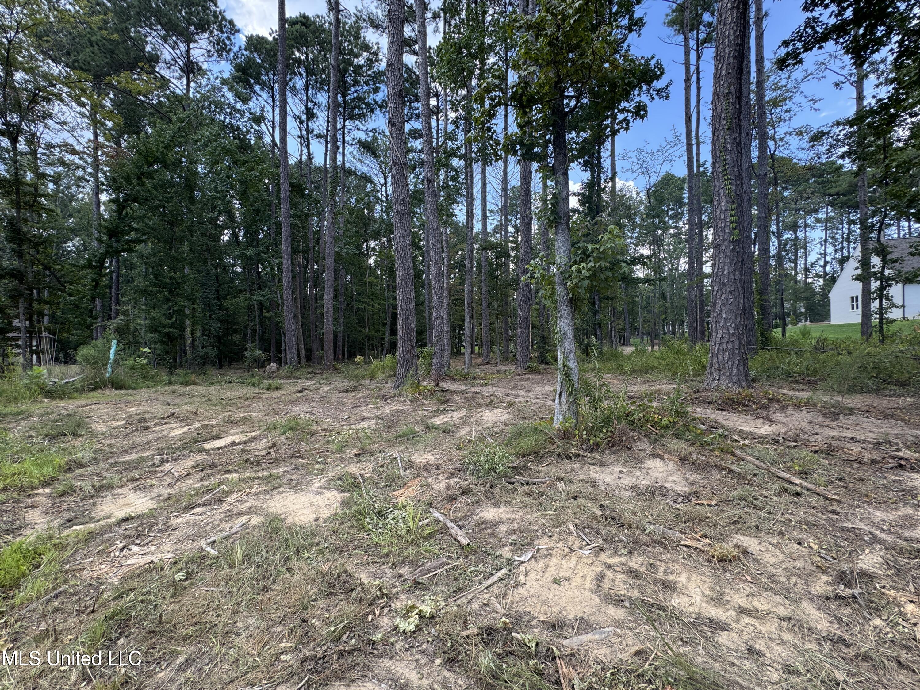 922 Brookhollow Court Property Photo 4