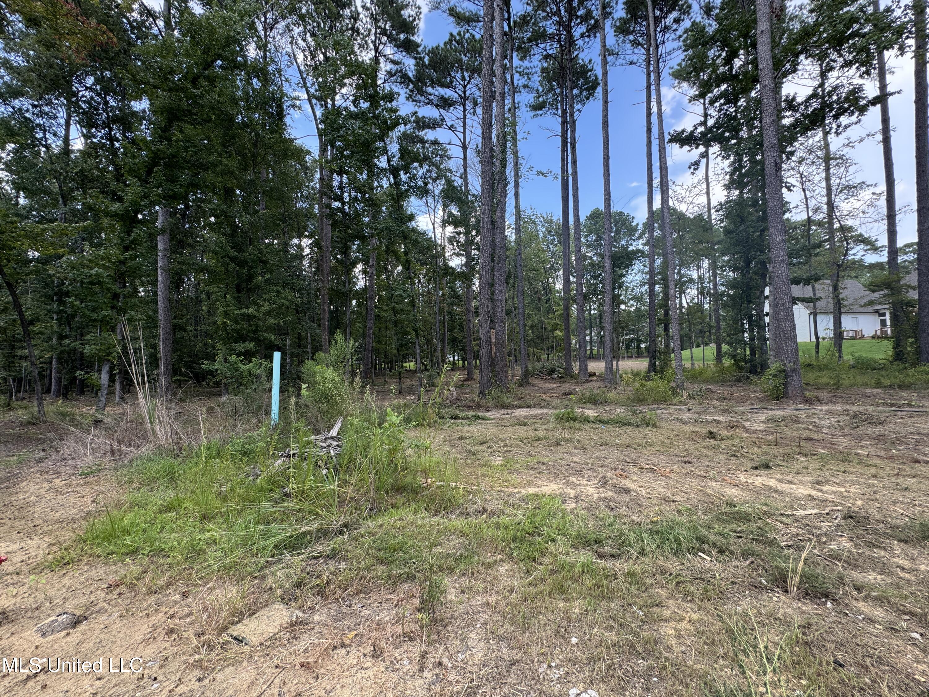 922 Brookhollow Court Property Photo 10