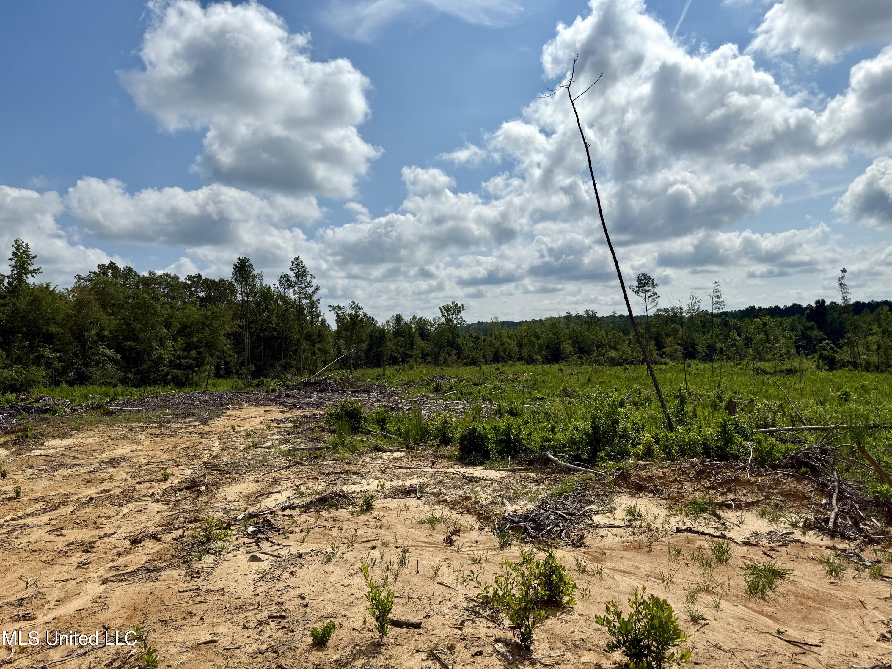 Attala Rd 5235 Property Photo 2