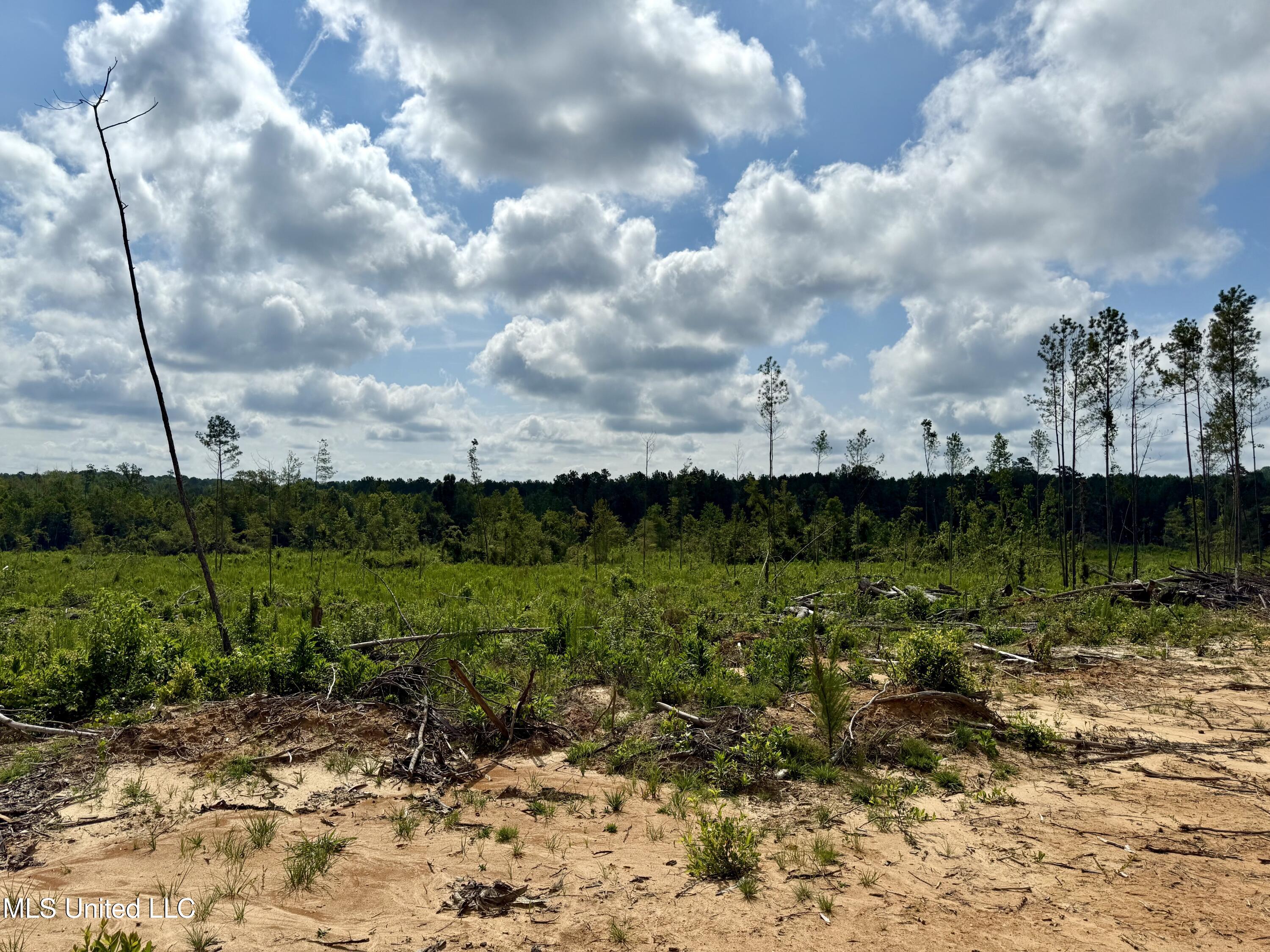 Attala Rd 5235 Property Photo 3