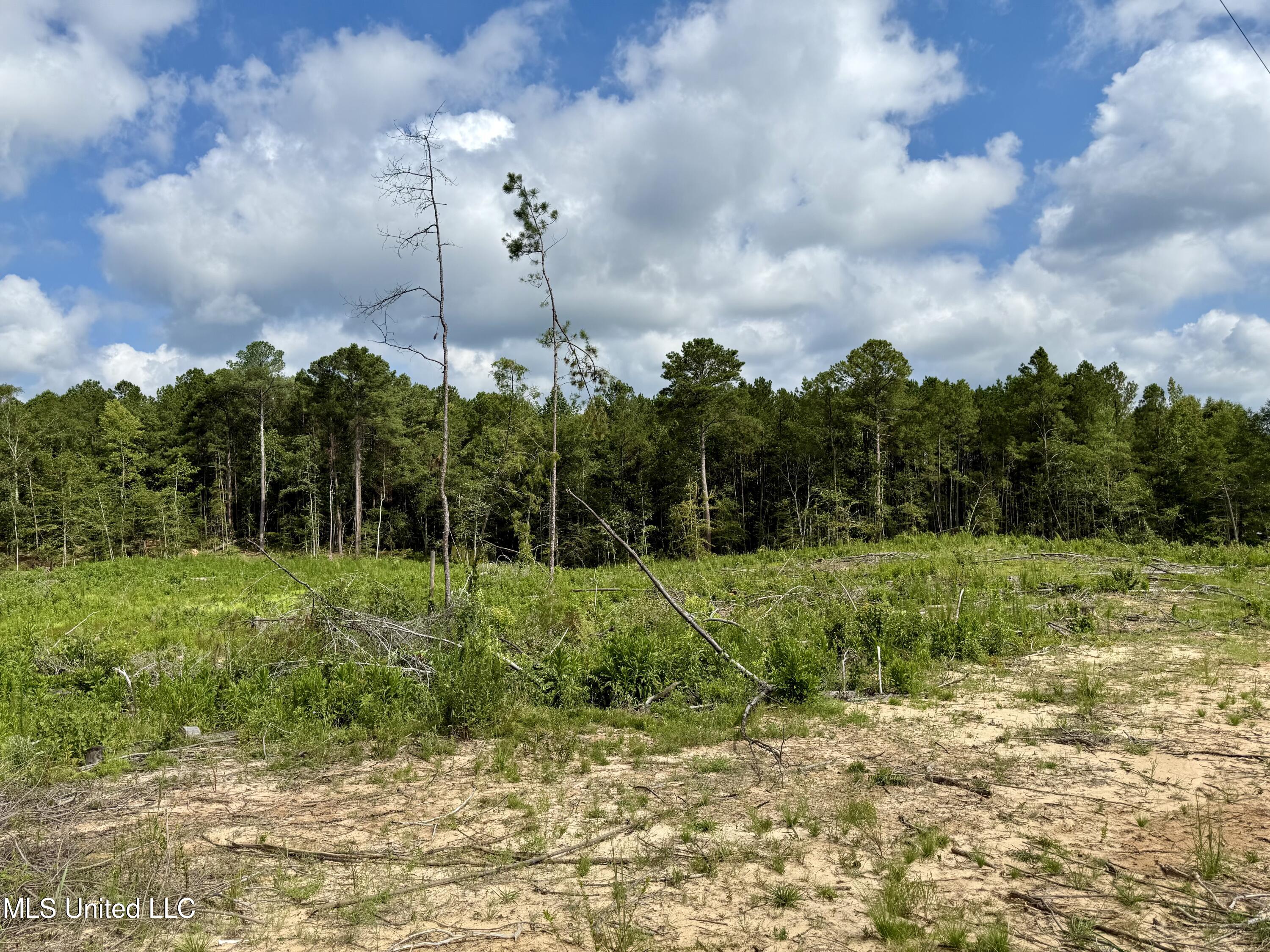 Attala Rd 5235 Property Photo 11