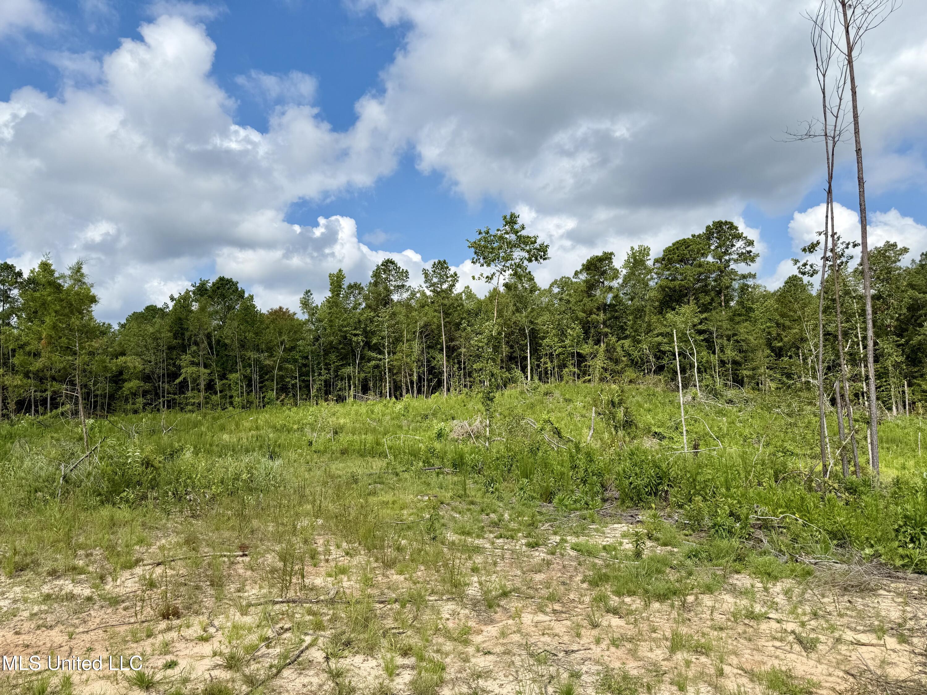 Attala Rd 5235 Property Photo 12