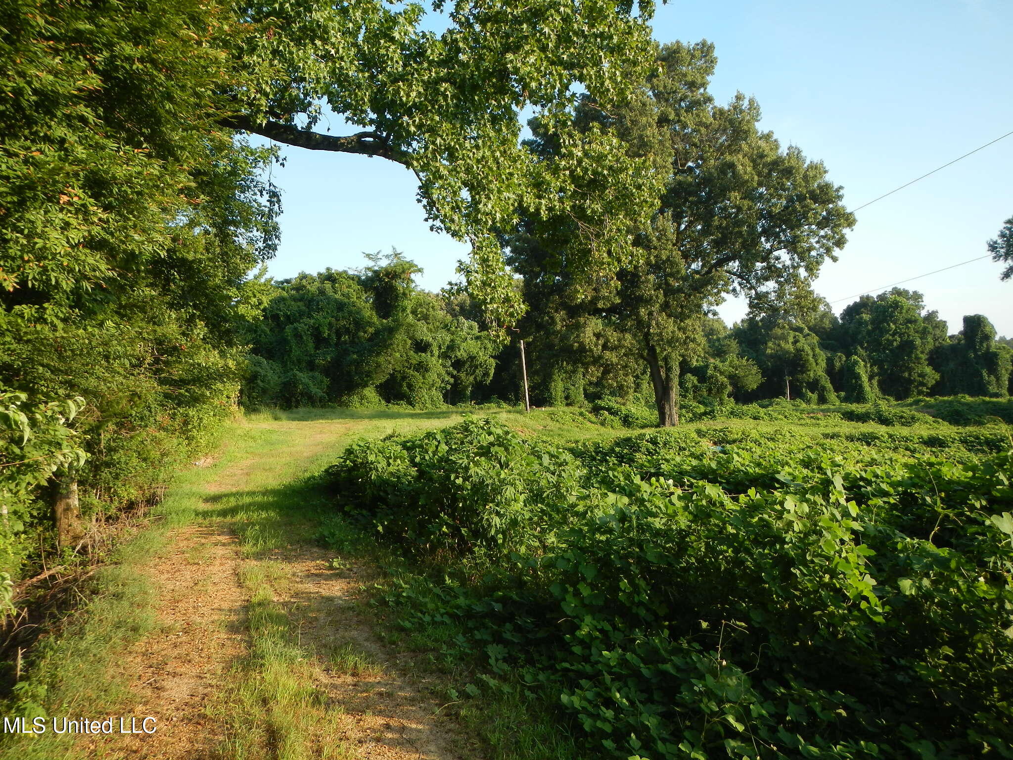 330 Honeycutt Road Property Photo 5
