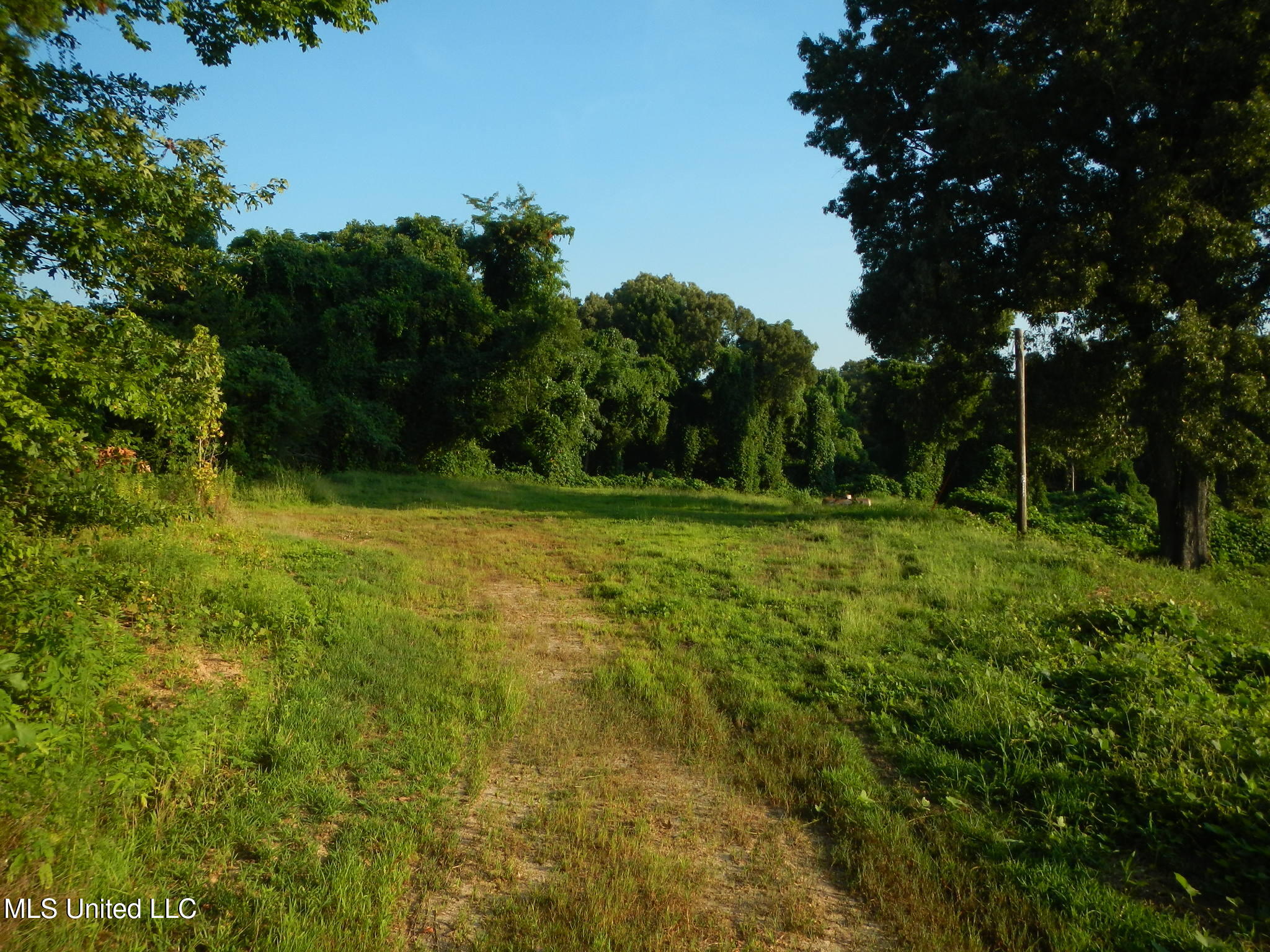330 Honeycutt Road Property Photo 6