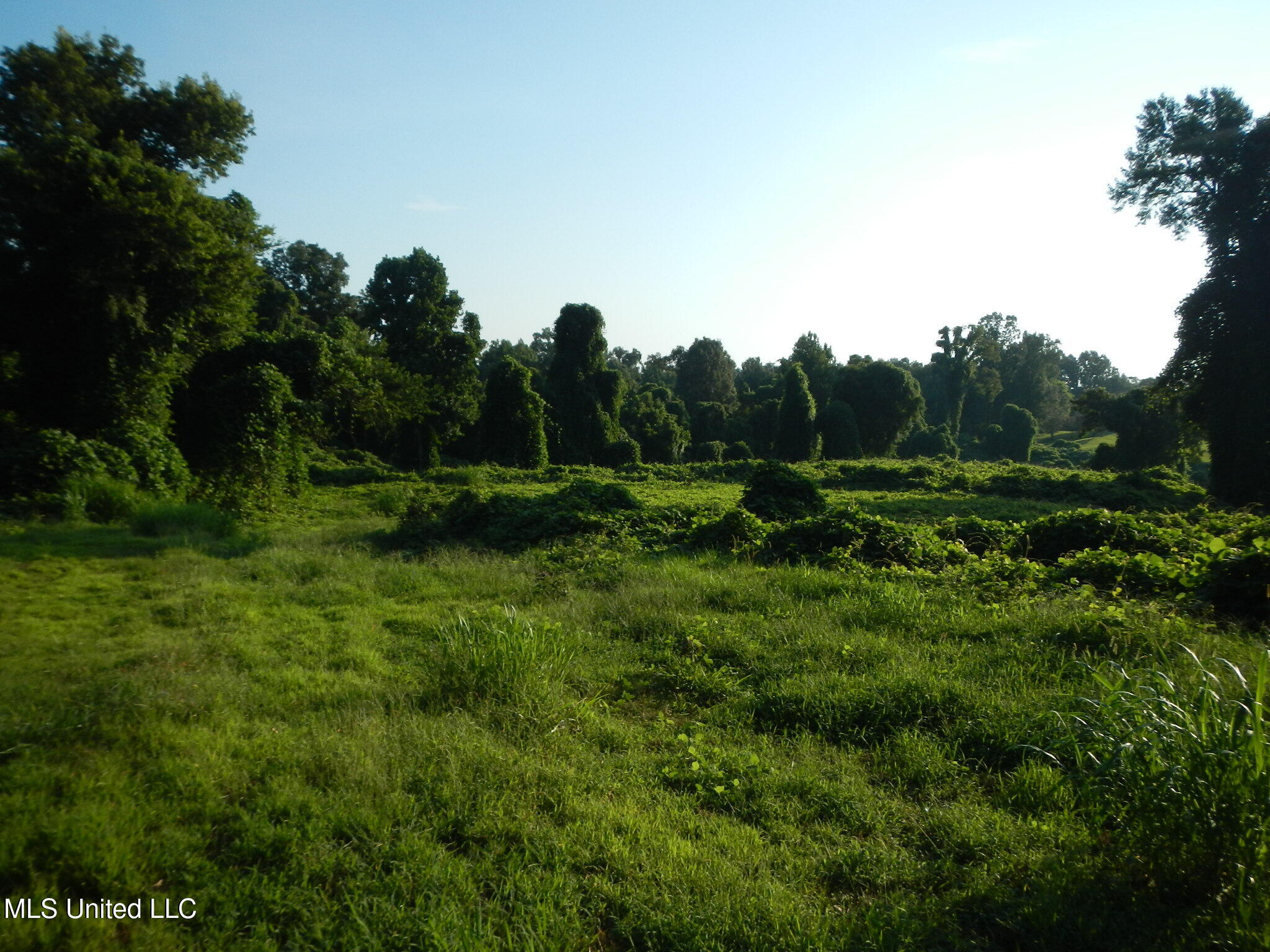 330 Honeycutt Road Property Photo 7