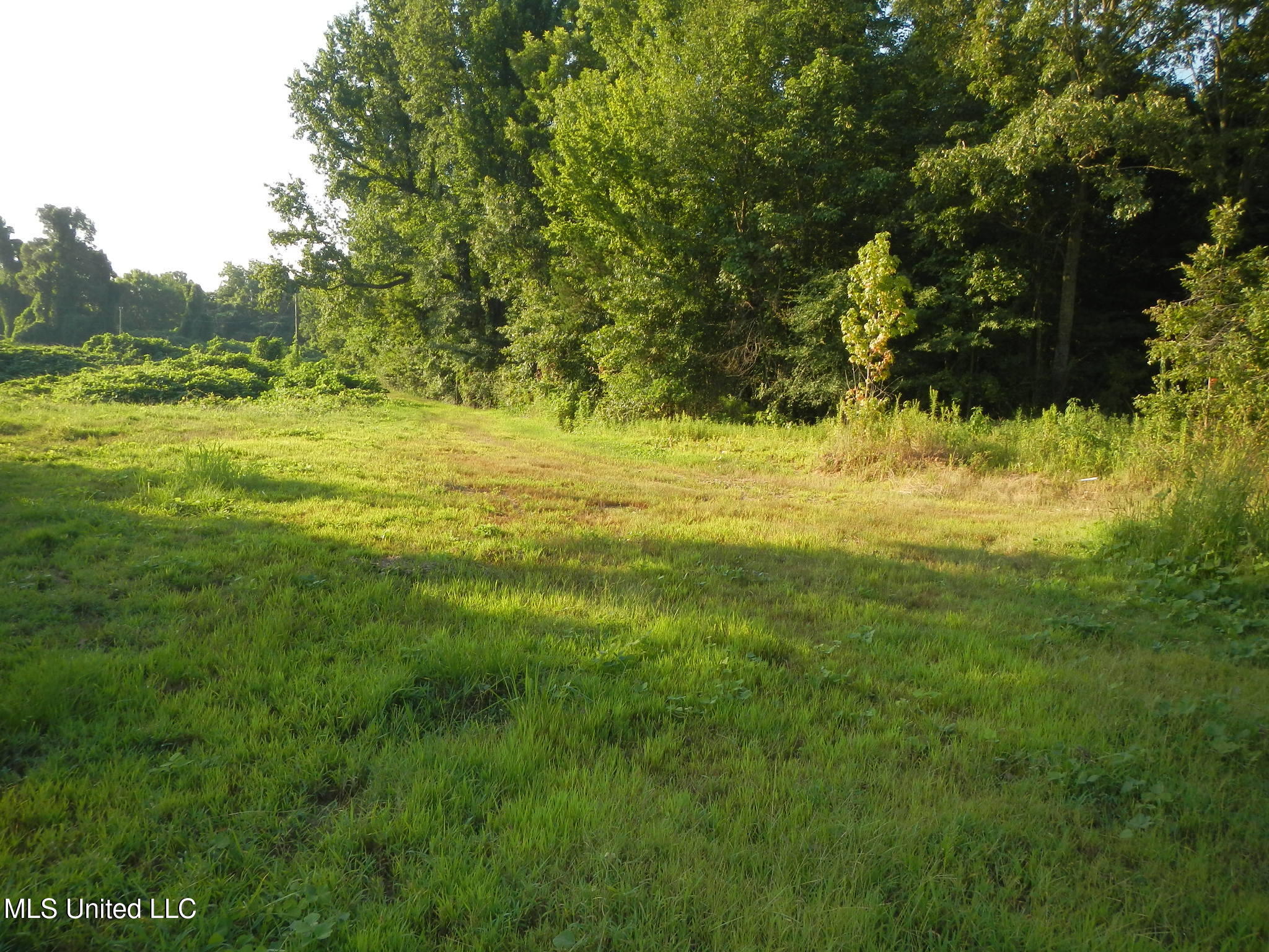330 Honeycutt Road Property Photo 9