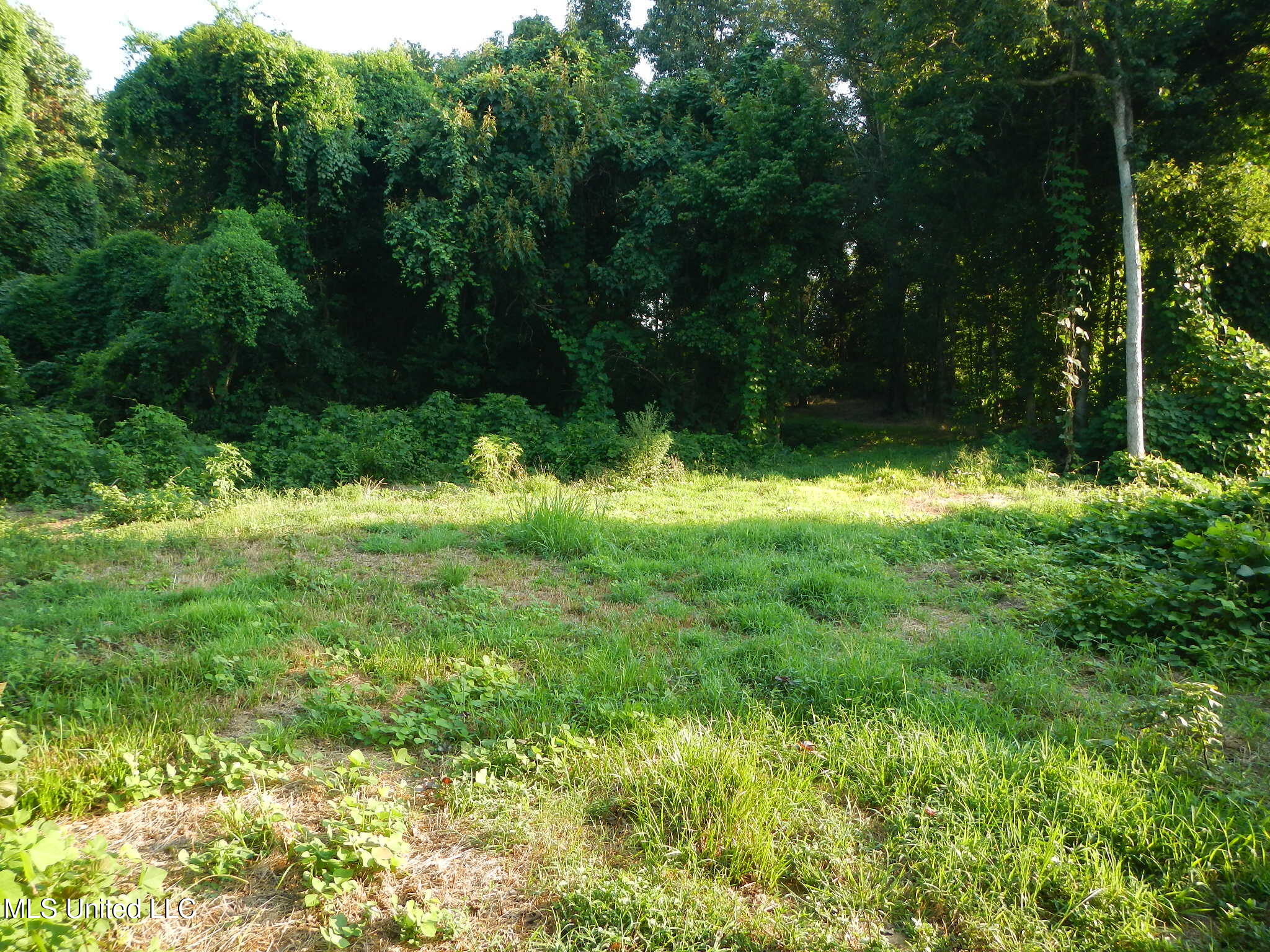 330 Honeycutt Road Property Photo 12