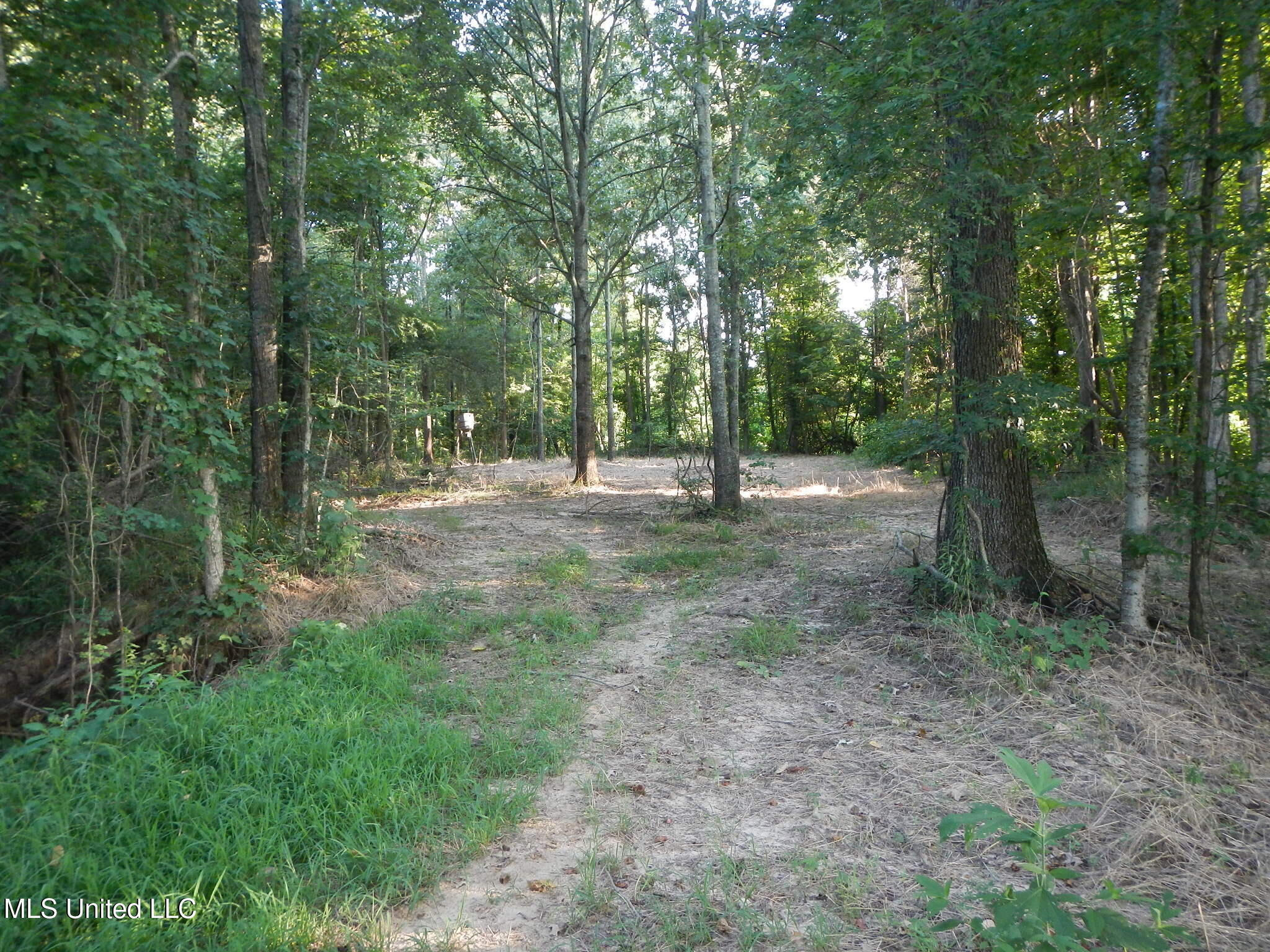330 Honeycutt Road Property Photo 13