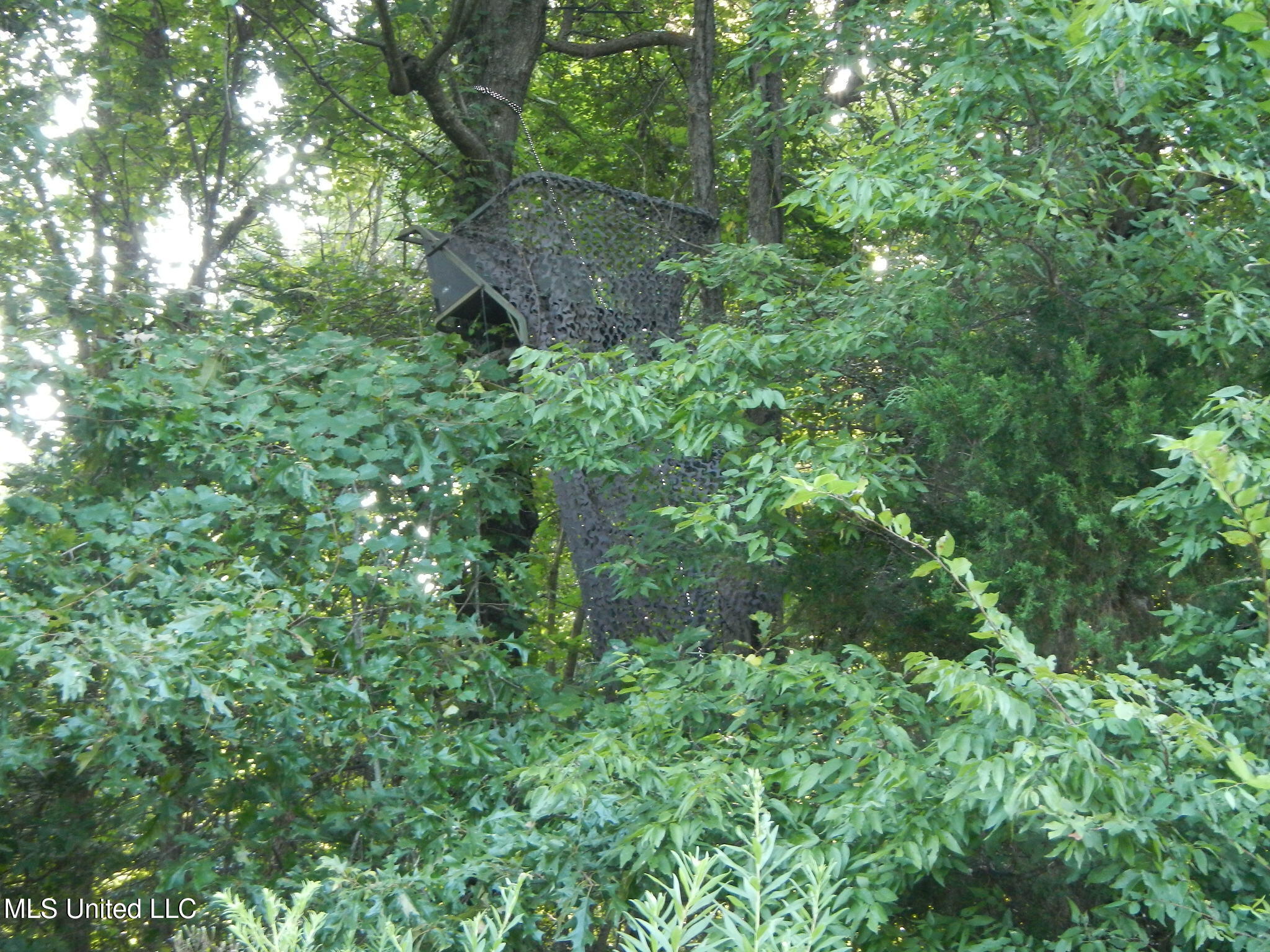 330 Honeycutt Road Property Photo 15