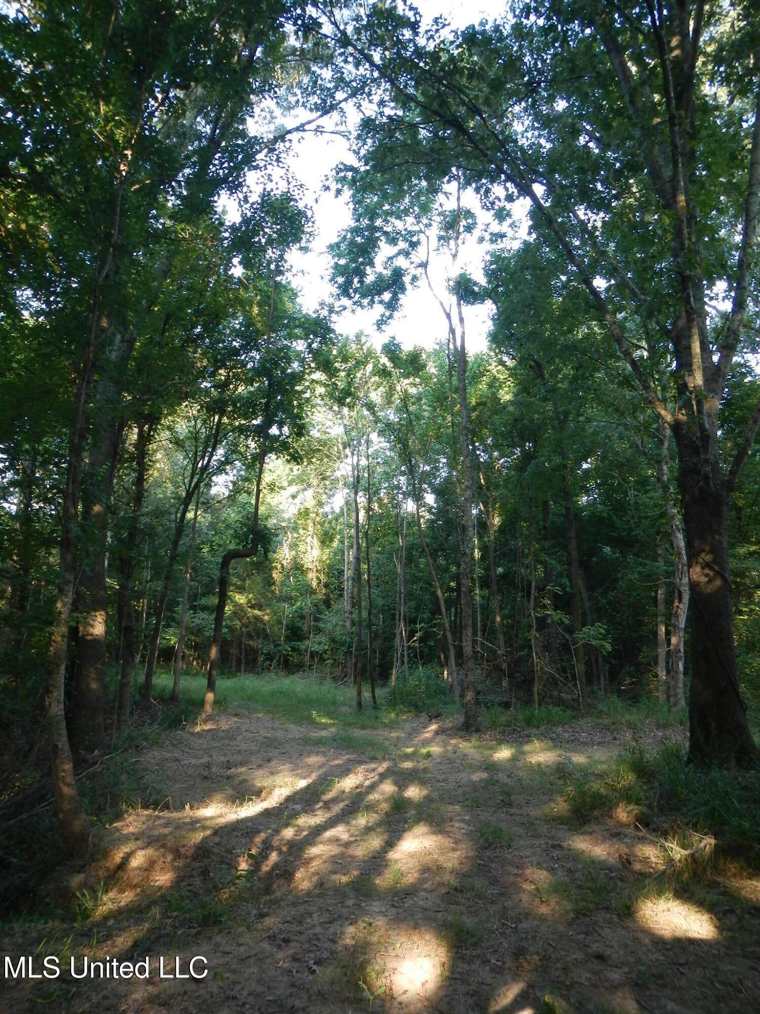 330 Honeycutt Road Property Photo 19